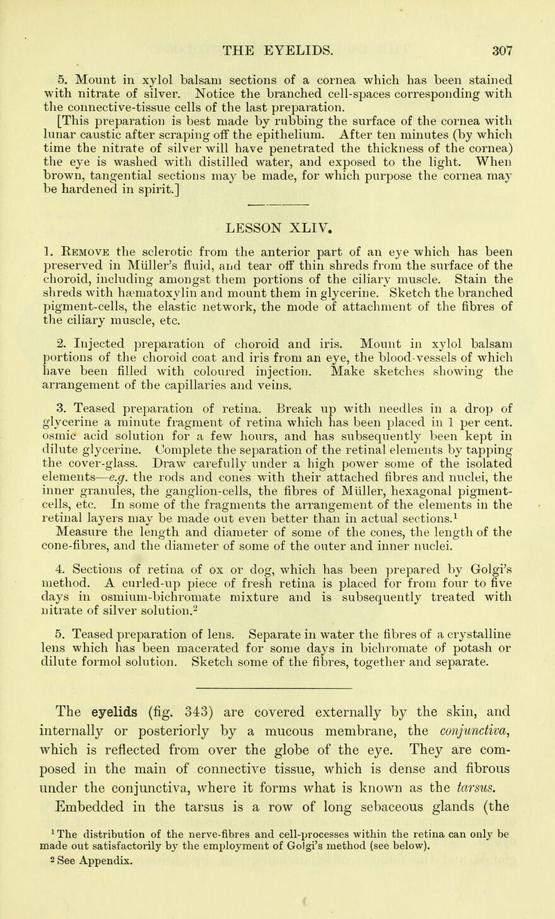 5. Mount in xylol balsam sections of a cornea which has been stained with nitrate of silver. Notice the branched cell-spaces corresponding with the connective-tissue cells of the last preparation. [This preparation is best made by rubbing the surface of the cornea with lunar caustic after scraping off the epithelium. After ten minutes (by which time the nitrate of silver will have penetrated the thickness of the cornea) the eye is washed with distilled water, and exposed to the light. When brown, tangential sections may be made, for which purpose the cornea may be hardened in spirit.] LESSON XLIV. 1. Remove the sclerotic from the anterior part of an eye which has been preserved in Miiller's fluid, and tear olf thin shreds from the surface of the choroid, including amongst them portions of the ciliary muscle. Stain the shreds with hsematoxylin and mount them in glycerine. Sketch the branched pigment-cells, the elastic network, the mode of attachment of the fibres of the ciliary muscle, etc. 2. Injected preparation of choroid and iris. Mount in xylol balsam portions of the choroid coat and iris from an eye, the blood-vessels of which have been filled with coloured injection. Make sketches showing the arrangement of the capillaries and veins. 3. Teased preparation of retina. Break up with needles in a drop of glycerine a minute fragment of retina which has been placed in 1 per cent, osmic acid solution for a few hours, and has subsequently been kept in dilute glycerine. Complete the separation of the retinal elements by tapping the cover-glass. Draw carefully under a high power some of the isolated elements—e.g. the rods and cones with their attached fibres and nuclei, the inner granules, the ganglion-cells, the fibres of Miiller, hexagonal pigment- cells, etc. In some of the fragments the arrangement of the elements in the retinal layers may be made out even better than in actual sections.^ Measure the length and diameter of some of the cones, the length of the cone-fibres, and the diameter of some of the outer and inner nuclei. 4. Sections of retina of ox or clog, which has been prepared by Golgi's method. A curled-up piece of fresh retina is placed for from four to five days in osmium-bichromate mixture and is subsequently treated with nitrate of silver solution.^ 5. Teased preparation of lens. Separate in water the fibres of a crystalline lens which has been macerated for some days in bichromate of potash or dilute formol solution. Sketch some of the fibres, together and separate. The eyelids (fig. 343) are covered externally by the skin, and internally or posteriorly by a mucous membrane, the conjunctiva, which is reflected from over the globe of the eye. They are com- posed in the main of connective tissue, which is dense and fibrous under the conjunctiva, where it forms what is known as the tarsus. Embedded in the tarsus is a row of long sebaceous glands (the ^ The distribution of the nerve-fibres and cell-processes within the retina can only be made out satisfactorily by the employment of Goigi's method (see below). 2 See Appendix.