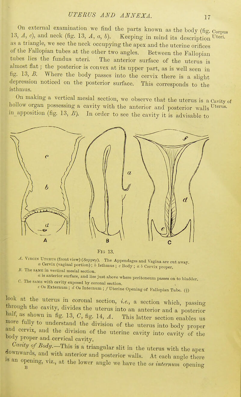 On external examination we find the parts known as the body (fig. Corpus 13, A, c), and neck (fig. 13, A, a, h). Keeping in mind its description ^t^- as a triangle, we see the neck occupying the apex and the uterine orifices of tlie Fallopian tubes at the other two angles. Between the Fallopian tubes lies the fundus uteri. The anterior surface of the uterus is almost flat; the posterior is convex at its upper part, as is well seen in fig. 13, B. Where the body passes into the cervix there is a slight depression noticed on the posterior surface. This corresponds to the isthmus. On making a vertical mesial section, we observe that the uterus is a Cavity of liollow organ possessing a cavity with the anterior and posterior walls U*^'^- m apposition (fig. 13, B). In order to see the cavity it is advisable to Fig 13. A. VmoiN Utkrus (front view) {Sappey). Tl.e Appendages and Vagina are cut away a Cervix (vaginal portion); h Isthmus ; c liody ; a h Cervix proper. B. The SAME in vertical mesial section. a is anterior surface, and lies just above where peritoneum passes on to bladder. t. The SAME with cavity exposed by coronal section. e Os Externum ; d Os Internum ; ./• Uterine Opening of Fallopian Tube. (§) look at the Uterus in coronal section, i.e., a section which, passing through the cavity, divides the uterus into an anterior and a posterior hjxlf, as shown in fig. 13, C, fig. 14, A. This latter section enables us more fully to understand the division of the uterus into body proper and cervix, and the division of the uterine cavity into cavity of the body proper and cervical cavity. Cavity of Body.~Thm is a triangular slit in the uterus with the apex downwards, and with anterior and posterior walls. At each angle there an opening, viz., at the lower angle we have the os internum opening