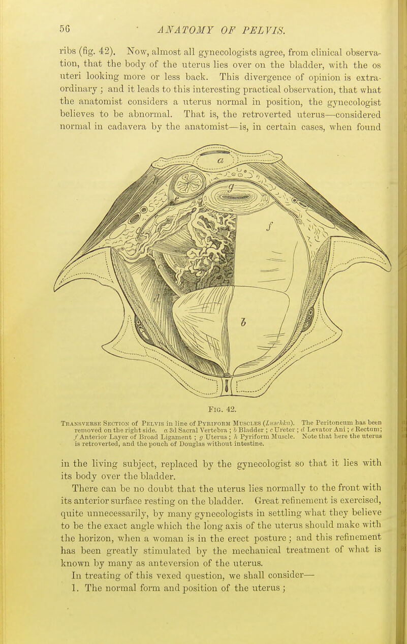 ribs (fig. 42). Now, almost all gynecologists agree, from clinical observar- tion, that the body of the uterus lies over on the bladder, with the os uteri looking more or less back. This divergence of opinion is extra- ordinary ; and it leads to this interesting practical observation, that what the anatomist considers a uterus normal in position, the gynecologist believes to be abnormal. That is, the retroverted uterus—considered normal in cadavera by the anatomist—is, in certain cases, when found Fig. 42. Traksverse Section of Pelvis in line of PyRiroKM Muscles {LusM-a). The Peritoneum has been removed on the right side, a 3d Sacral Vertebra ; h Bladder ; c Ureter ; 0- Levator Ani; e Rectum; /'Anterior Layer of Broad Ligament ; g Uterns ; h Pyriform Muscle. Note that here the uterus is retroverted, and the pouch of Douglas without intestine. in the living subject, replaced by the gynecologist so that it lies with its body over the bladder. There can be no doubt that the uterus lies normally to the front with its anterior surface resting on the bladder. Great refinement is exercised, quite unnecessarily, by many gynecologists in settling what they believe to be the exact angle which the long axis of the iiterus should make with the horizon, when a woman is in the erect posture ; and this refinement has been greatly stimulated by the mechanical treatment of wliat is known by many as anteversion of the uterus. In treating of this vexed qiiestion, we shall consider— 1. The normal form and position of the uterus ;