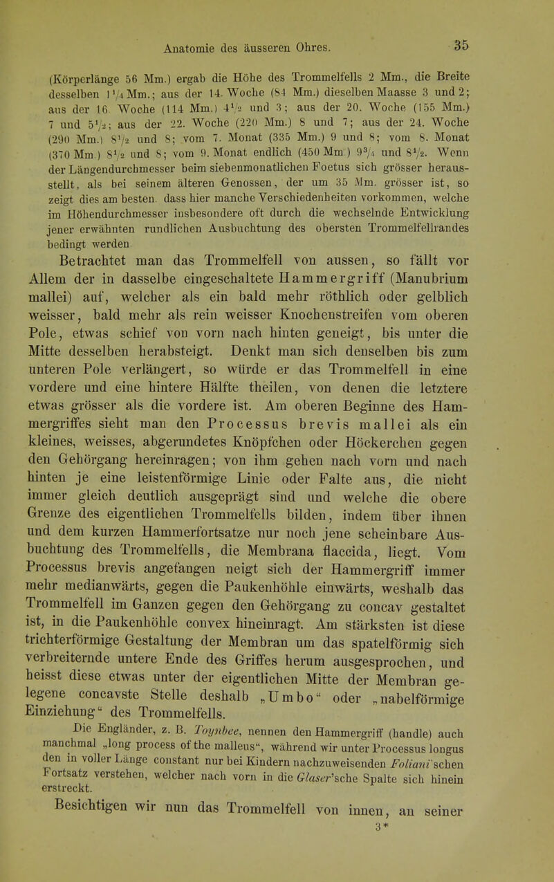 (Körperlänge 56 Mm.) ergab die Höhe des Trommelfells 2 Mm., die Breite desselben P/4 Mm.; aus der 14. Woche (84 Mm.) dieselben Maasse 3 und 2; aus der 16 Woche (114 Mm.) 4l/a und 3; aus der 20. Woche (155 Mm.) 7 und 5\-<\ aus der 22. Woche (220 Mm.) 8 und 7; aus der 24. Woche (290 Mm.i S'/2 und 8; vom 7. Monat (335 Mm.) 9 und 8; vom 8. Monat (370 Mm.) 87* und S; vom 9. Monat endlich (450 Mm ) 93//, und 8V2. Wenn der Längendurchmesser beim siebenmonatlichen Foetus sich grösser heraus- stellt, als bei seinem älteren Genossen, der um 35 Mm. grösser ist, so zeigt dies am besten, dass hier manche Verschiedenheiten vorkommen, welche im Höhendurchmesser insbesondere oft durch die wechselnde Entwicklung jener erwähnten rundlichen Ausbuchtung des obersten Trommelfellrandes bedingt werden Betrachtet man das Trommelfell von aussen, so fällt vor Allem der in dasselbe eingeschaltete Hammergriff (Manubrium mallei) auf, welcher als ein bald mehr röthlich oder gelblich weisser, bald mehr als rein weisser Knochenstreifen vom oberen Pole, etwas schief von vorn nach hinten geneigt, bis unter die Mitte desselben herabsteigt. Denkt man sich denselben bis zum unteren Pole verlängert, so würde er das Trommelfell in eine vordere und eine hintere Hälfte theilen, von denen die letztere etwas grösser als die vordere ist. Am oberen Beginne des Ham- mergritfes sieht man den Processus brevis mallei als ein kleines, weisses, abgerundetes Knöpfchen oder Höckerchen gegen den Gehörgang hereinragen; von ihm gehen nach vorn und nach hinten je eine leistentormige Linie oder Falte aus, die nicht immer gleich deutlich ausgeprägt sind und welche die obere Grenze des eigentlichen Trommelfells bilden, indem über ihnen und dem kurzen Hammerfortsatze nur noch jene scheinbare Aus- buchtung des Trommelfells, die Membrana flaccida, liegt. Vom Processus brevis angefangen neigt sich der Hammergriff immer mehr medianwärts, gegen die Paukenhöhle einwärts, weshalb das Trommelfell im Ganzen gegen den Gehörgang zu concav gestaltet ist, in die Paukenhöhle convex hineinragt. Am stärksten ist diese trichterförmige Gestaltung der Membran um das spateiförmig sich verbreiternde untere Ende des Griffes herum ausgesprochen, und heisst diese etwas unter der eigentlichen Mitte der Membran ge- legene coneavste Stelle deshalb „Umbo oder „ nabeiförmige Einziehung des Trommelfells. Die Engländer, z. 13. Toynbee, nennen den Hammergriff (handle) auch manchmal „long process of the malleus, während wir unter Processus longus den in voller Länge constant nur bei Kindern nachzuweisenden Foliant sehen Fortsatz verstehen, welcher nach vorn in die Glaser'sche Spalte sich hinein erstreckt. Besichtigen wir nun das Trommelfell von innen, an seiner