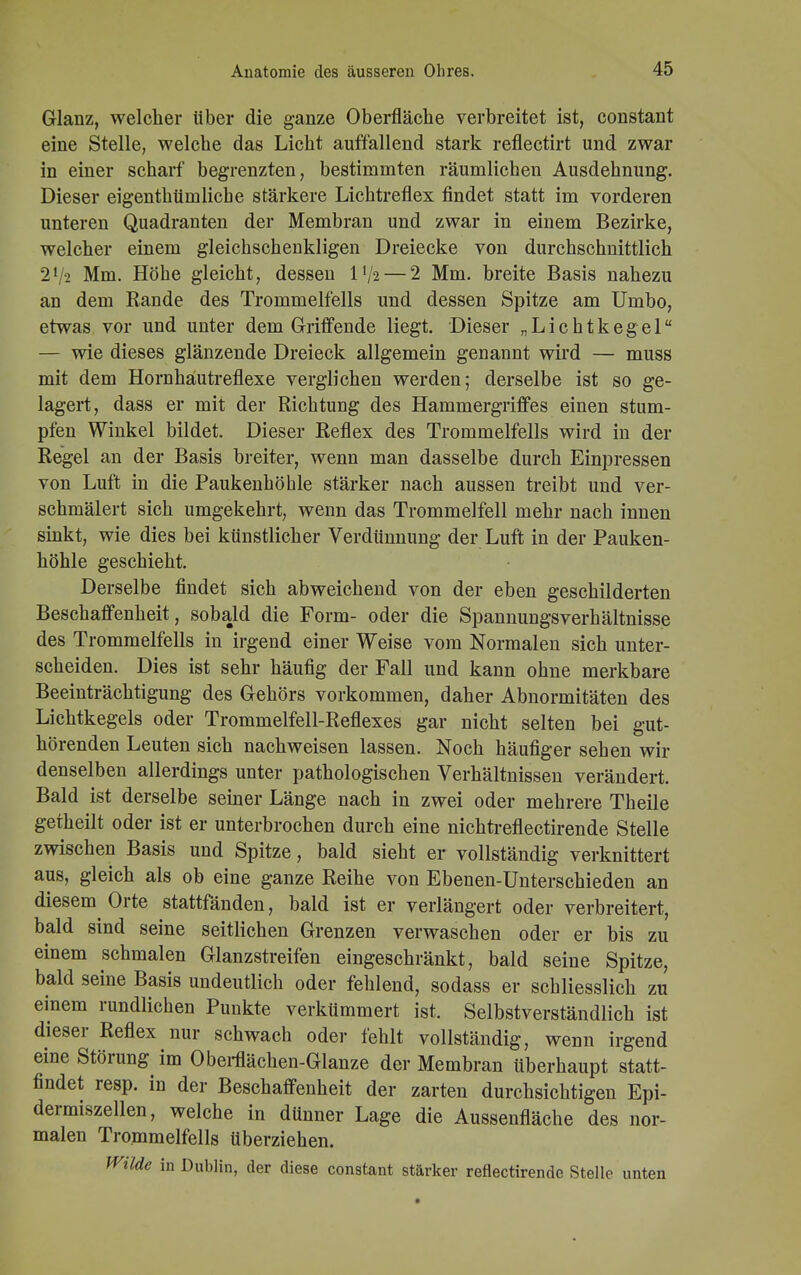 Glanz, welcher über die ganze Oberfläche verbreitet ist, constant eine Stelle, welche das Licht auffallend stark reflectirt und zwar in einer scharf begrenzten, bestimmten räumlichen Ausdehnung. Dieser eigenthtimliche stärkere Lichtreflex findet statt im vorderen unteren Quadranten der Membran und zwar in einem Bezirke, welcher einem gleichschenkligen Dreiecke von durchschnittlich 2!/2 Mm. Höhe gleicht, dessen IV2— 2 Mm. breite Basis nahezu an dem Rande des Trommelfells und dessen Spitze am Umbo, etwas vor und unter dem Griffende liegt. Dieser „Lichtkegel — wie dieses glänzende Dreieck allgemein genannt wird — muss mit dem Hornhäutreflexe verglichen werden; derselbe ist so ge- lagert, dass er mit der Richtung des Hammergriffes einen stum- pfen Winkel bildet. Dieser Reflex des Trommelfells wird in der Regel an der Basis breiter, wenn man dasselbe durch Einpressen von Luft in die Paukenhöhle stärker nach aussen treibt und ver- schmälert sich umgekehrt, wenn das Trommelfell mehr nach innen sinkt, wie dies bei künstlicher Verdünnung der Luft in der Pauken- höhle geschieht. Derselbe findet sich abweichend von der eben geschilderten Beschaffenheit, sobald die Form- oder die SpannungsVerhältnisse des Trommelfells in irgend einer Weise vom Normalen sich unter- scheiden. Dies ist sehr häufig der Fall und kann ohne merkbare Beeinträchtigung des Gehörs vorkommen, daher Abnormitäten des Lichtkegels oder Trommelfell-Reflexes gar nicht selten bei gut- hörenden Leuten sich nachweisen lassen. Noch häufiger sehen wir denselben allerdings unter pathologischen Verhältnissen verändert. Bald ist derselbe seiner Länge nach in zwei oder mehrere Theile getheilt oder ist er unterbrochen durch eine nichtreflectirende Stelle zwischen Basis und Spitze, bald sieht er vollständig verknittert aus, gleich als ob eine ganze Reihe von Ebenen-Unterschieden an diesem Orte stattfänden, bald ist er verlängert oder verbreitert, bald sind seine seitlichen Grenzen verwaschen oder er bis zu einem schmalen Glanzstreifen eingeschränkt, bald seine Spitze, bald seine Basis undeutlich oder fehlend, sodass er schliesslich zu einem rundlichen Punkte verkümmert ist. Selbstverständlich ist dieser Reflex nur schwach oder fehlt vollständig, wenn irgend eine Störung im Oberflächen-Glanze der Membran überhaupt statt- findet resp. in der Beschaffenheit der zarten durchsichtigen Epi- dermiszellen, welche in dünner Lage die Aussenfläche des nor- malen Trommelfells überziehen. Wilde in Dublin, der diese constant stärker reflectirende Stelle unten