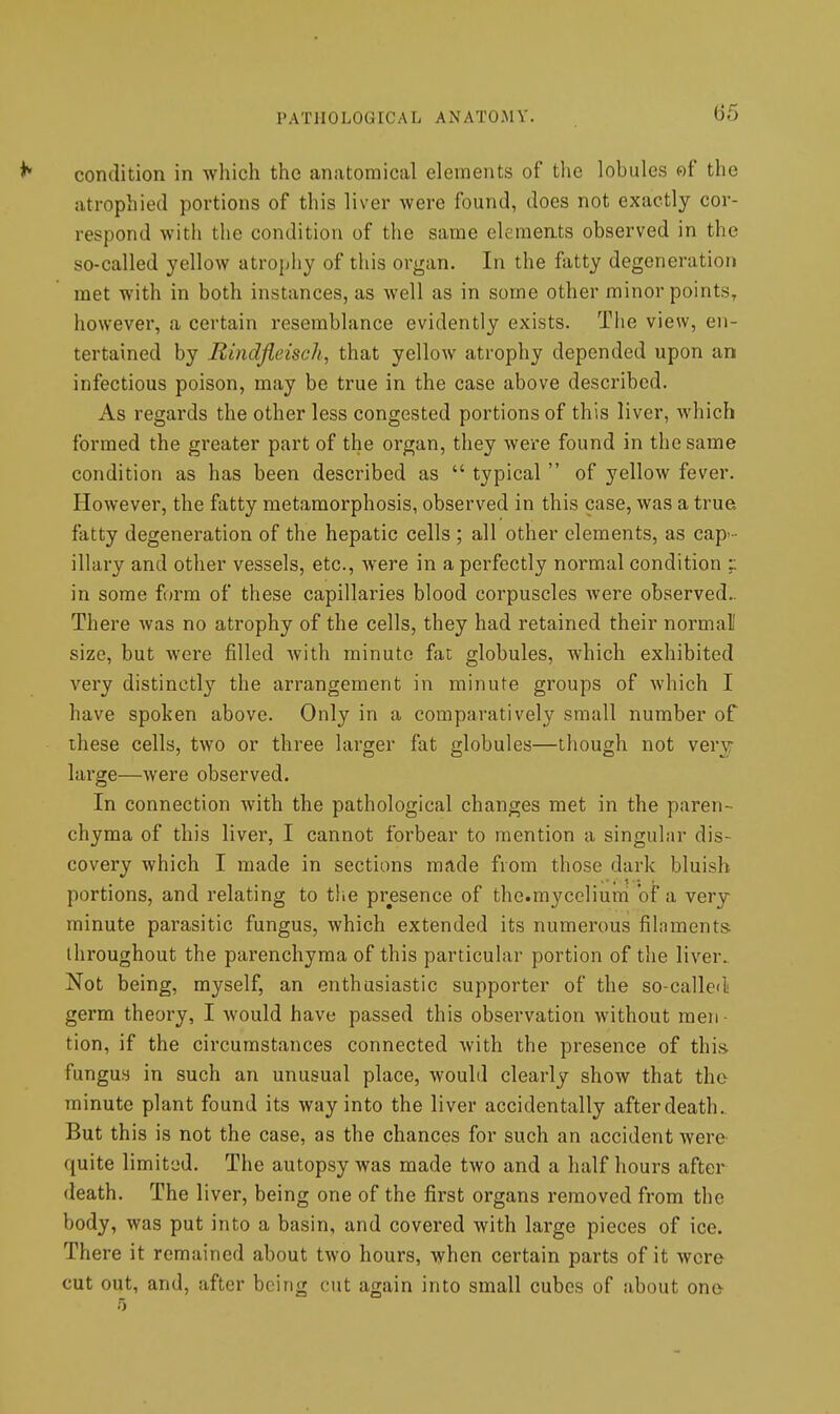 condition in which the anatomical elements of the lobules of the atrophied portions of this liver were found, does not exactly cor- respond with the condition of the same elemeats observed in the so-called yellow atrophy of this organ. In the fatty degeneration met with in both instances, as well as in some other minor points, however, a certain resemblance evidently exists. Tiie view, en- tertained by Rindjieisch, that yellow atrophy depended upon an infectious poison, may be true in the case above described. As regards the other less congested portions of this liver, which formed the greater part of the organ, they Avere found in the same condition as has been described as  typical  of yellow fever. However, the fatty metamorphosis, observed in this case, was a trua fatty degeneration of the hepatic cells ; all other elements, as cap'- illary and other vessels, etc., were in a perfectly normal condition ;; in some form of these capillaries blood corpuscles were observed.. There was no atrophy of the cells, they had retained their normal' size, but were filled with minute fat globules, which exhibited very distinctly the arrangement in minute groups of which I have spoken above. Only in a comparatively small number of these cells, two or three larger fat globules—though not very- large—were observed. In connection with the pathological changes met in the paren- chyma of this liver, I cannot forbear to mention a singular dis- covery which I made in sections made from those dark bluish portions, and relating to tlie presence of the.myceliuni of a very minute parasitic fungus, which extended its numerous filaments throughout the parenchyma of this particular portion of the liver. Not being, myself, an enthusiastic supporter of the so-called germ theory, I would have passed this observation without men- tion, if the circumstances connected with the presence of this fungus in such an unusual place, would clearly show that the minute plant found its way into the liver accidentally afterdeath. But this is not the case, as the chances for such an accident were quite limited. The autopsy was made two and a half hours after death. The liver, being one of the first organs removed from the body, was put into a basin, and covered with large pieces of ice. There it remained about two hours, when certain parts of it were cut out, and, after being cut again into small cubes of about ono