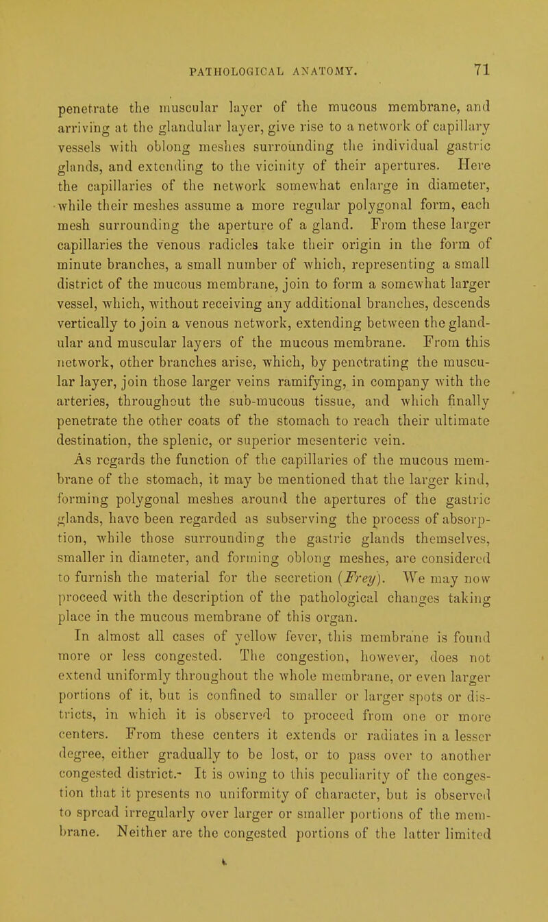 penetrate the muscular layer of the mucous membrane, and arriving at the gUuiduhir layer, give rise to a network of capillary vessels with oblong meshes surroiinding the individual gastric glands, and extending to the vicinity of their apertures. Here the capillaries of the network somewhat enlarge in diameter, •while their meshes assume a more regular polygonal form, each mesh surrounding the aperture of a gland. From these larger capillaries the venous radicles take their origin in the form of minute branches, a small number of which, representing a small district of the mucous membrane, join to form a somewhat larger vessel, Avhich, without receiving any additional branches, descends vertically to join a venous network, extending between the gland- ular and muscular layers of the mucous membrane. From this network, other branches arise, which, by penetrating the muscu- lar layer, join those larger veins ramifying, in company -with the arteries, throughout the sub-mucous tissue, and which finally penetrate the other coats of the stomach to reach their ultimate destination, the splenic, or superior mesenteric vein. As regards the function of the capillaries of the mucous mem- bi'ane of the stomach, it may be mentioned that the larger kind, forming polygonal meshes around the apertures of the gasti'ic glands, have been regarded as subserving the nrocess of absorp- tion, while those suiTounding the gastric glands themselves, smaller in diameter, and forming oblong meshes, are considered to furnish the material for the secretion [Frey). We may now proceed with the description of the pathological changes taking place in the mucous membrane of this organ. In almost all cases of yellow fever, this membrane is found more or less congested. The congestion, however, does not extend uniformly throughout the Avhole membrane, or even larger portions of it, but is confined to smaller or larger spots or dis- tricts, in which it is observed to proceed from one or more centers. From these centers it extends or radiates in a lesser degree, either gradually to be lost, or to pass over to another congested district.- It is owing to this peculiarity of the conges- tion that it presents no uniformity of character, but is observed to spread irregularly over larger or smaller portions of the mem- brane. Neither are the congested portions of the latter limited