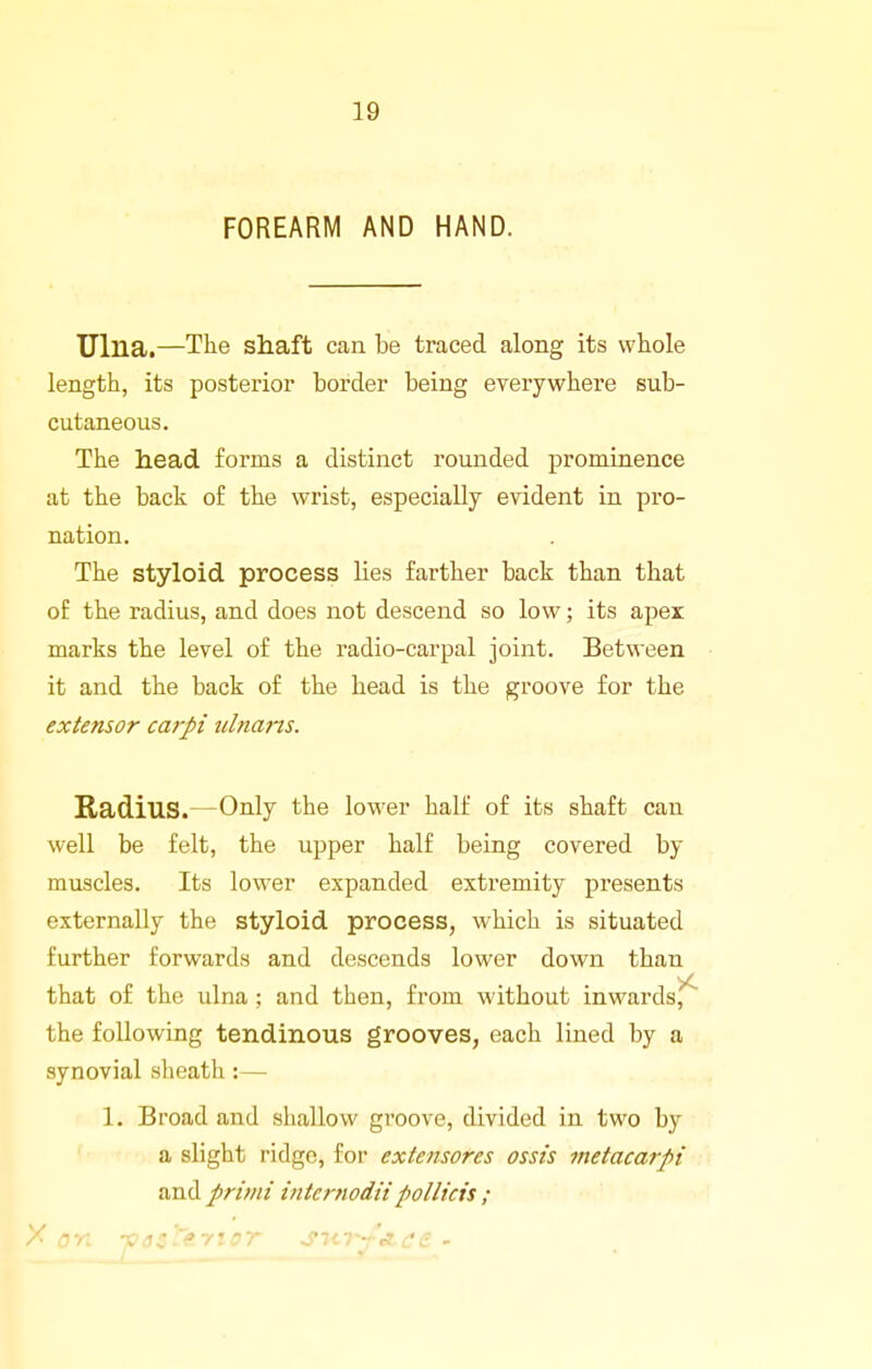 FOREARM AND HAND. Ulna.—The shaft can be traced along its whole length, its posterior border being everywhere sub- cutaneous. The head forms a distinct rounded prominence at the back of the wrist, especially evident in pro- nation. The styloid process lies farther back than that of the radius, and does not descend so low; its apex marks the level of the radio-carpal joint. Between it and the back of the head is the groove for the extensor carpi ulnans. Radius.—Only the lower half of its shaft cau well be felt, the upper half being covered by muscles. Its lower expanded extremity presents externally the styloid process, which is situated further forwards and descends lower down than that of the ulna ; and then, from without inwards, the following tendinous grooves, each lined by a synovial sheath:— 1. Broad and shallow groove, divided in two by a slight ridge, for extensores ossts metacarpi and primi intcrtiodii pollicis ; X on -pdsC&yior