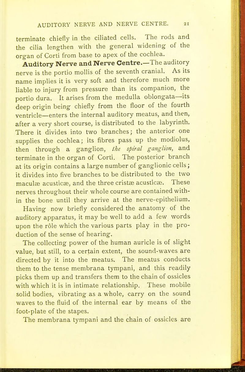 terminate chiefly in the ciliated cells. The rods and the cilia lengthen with the general widening of the organ of Corti from base to apex of the cochlea. Auditory Nerve and Nerve Centre.—The auditory nerve is the portio mollis of the seventh cranial. As its name implies it is very soft and therefore much more liable to injury from pressure than its companion, the portio dura. It arises from the medulla oblongata—its deep origin being chiefly from the floor of the fourth ventricle—enters the internal auditory meatus, and then, after a very short course, is distributed to the labyrinth. There it divides into two branches; the anterior one supplies the cochlea; its fibres pass up the modiolus, then through a ganglion, the spiral ganglion, and terminate in the organ of Corti. The posterior branch at its origin contains a large number of ganglionic cells; it divides into five branches to be distributed to the two maculae acusticse, and the three cristse acusticse. These nerves throughout their whole course are contained with- in the bone until they arrive at the nerve-epithelium. Having now briefly considered the anatomy of the auditory apparatus, it may be well to add a few words upon the role which the various parts play in the pro- duction of the sense of hearing. The collecting power of the human auricle is of slight value, but still, to a certain extent, the sound-waves are directed by it into the meatus. The meatus conducts them to the tense membrana tympani, and this readily picks them up and transfers them to the chain of ossicles with which it is in intimate relationship. These mobile solid bodies, vibrating as a whole, carry on the sound waves to the fluid of the internal ear by means of the foot-plate of the stapes. The membrana tympani and the chain of ossicles are