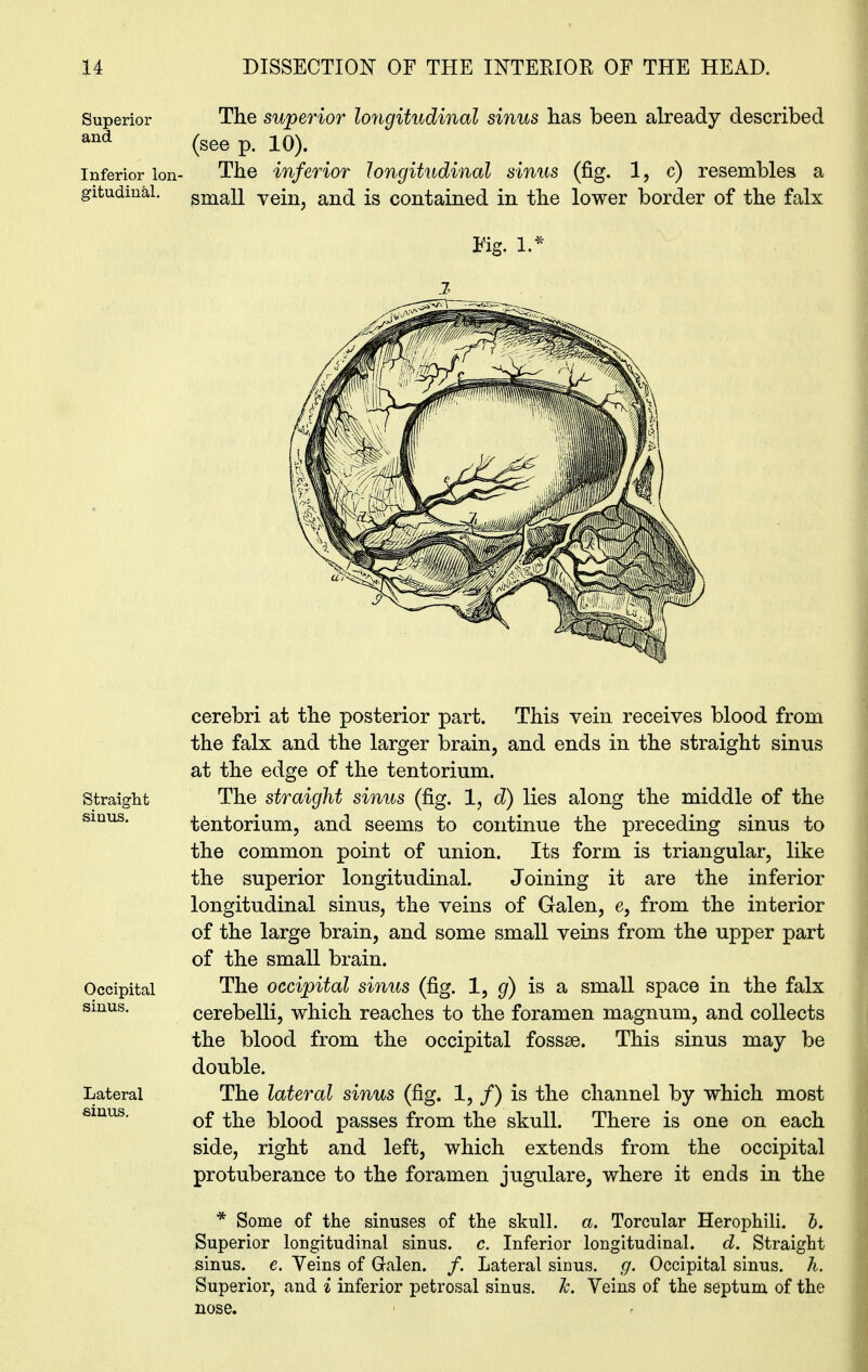 Superior and Inferior lon- gitudinal. Straight sinus. Occipital sinus. Lateral sinus. The superior longitudinal sinus has been already described (see p. 10). The inferior longitudinal sinus (fig. 1, c) resembles a small vein, and is contained in the lower border of the falx Fig. 1.* l cerebri at the posterior part. This vein receives blood from the falx and the larger brain, and ends in the straight sinus at the edge of the tentorium. The straight sinus (fig. 1, d) lies along the middle of the tentorium, and seems to continue the preceding sinus to the common point of union. Its form is triangular, like the superior longitudinal. Joining it are the inferior longitudinal sinus, the veins of Galen, e, from the interior of the large brain, and some small veins from the upper part of the small brain. The occipital sinus (fig. 1, g) is a small space in the falx cerebelli, which reaches to the foramen magnum, and collects the blood from the occipital fossae. This sinus may be double. The lateral sinus (fig. 1, /) is the channel by which most of the blood passes from the skull. There is one on each side, right and left, which extends from the occipital protuberance to the foramen jugulare, where it ends in the * Some of the sinuses of the skull, a. Torcular Herophili. b. Superior longitudinal sinus, c. Inferior longitudinal. d. Straight sinus, e. Veins of Galen. /. Lateral sinus, g. Occipital sinus. A. Superior, and i inferior petrosal sinus. 7c. Veins of the septum of the nose.