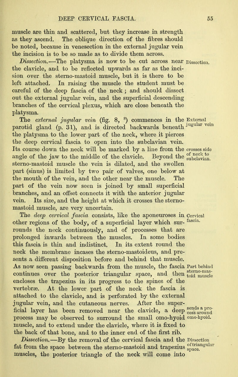 muscle are thin and scattered, but they increase in strength as they ascend. The oblique direction of the fibres should be noted, because in venesection in the external jugular vein the incision is to be so made as to divide them across. Dissection.—The platysma is now to be cut across near Dissection, the clavicle, and to be reflected upwards as far as the inci- sion over the sterno-mastoid muscle, but it is there to be left attached. In raising the muscle the student must be careful of the deep fascia of the neck ; and should dissect out the external jugular vein, and the superficial descending branches of the cervical plexus, which are close beneath the platysma. The external jugular rein (fig. 8, 8) commences in the External parotid gland (p. 31), and is directed backwards beneath Jugular Yem the platysma to the lower part of the neck, where it pierces the deep cervical fascia to open into the subclavian vein. Its course down the neck will be marked by a line from the crosses side angle of the jaw to the middle of the clavicle. Beyond the subclavian, sterno-mastoid muscle the vein is dilated, and the swollen part (sinus) is limited by two pair of valves, one below at the mouth of the vein, and the other near the muscle. The part of the vein now seen is joined by small superficial branches, and an offset connects it with the anterior jugular vein. Its size, and the height at which it crosses the sterno- mastoid muscle, are very uncertain. The deep cervical fascia consists, like the aponeuroses in Cervical other regions of the body, of a superficial layer which sur- fascia* rounds the neck continuously, and of processes that are prolonged inwards between the muscles. In some bodies this fascia is thin and indistinct. In its extent round the neck the membrane incases the sterno-mastoideus, and pre- sents a different disposition before and behind that muscle. As now seen passing backwards from the muscle, the fascia Part behind continues over the posterior triangular space, and then toid^muscle encloses the trapezius in its progress to the spines of the vertebrse. At the lower part of the neck the fascia is attached to the clavicle, and is perforated by the external jugular vein, and the cutaneous nerves. After the super- ficial layer has been removed near the clavicle, a deep cesb around process may be observed to surround the small omo-hyoid omo-hyoid. muscle, and to extend under the clavicle, where it is fixed to the back of that bone, and to the inner end of the first rib. Dissection. —By the removal of the cervical fascia and the Dissection fat from the space between the sterno-mastoid and trapezius gp^ngulai muscles, the posterior triangle of the neck will come into