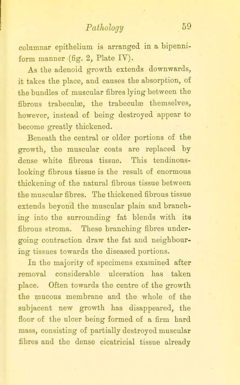 columnar epitlieliuin is arranged in a tipenni- form manner (fig. 2, Plate IV). As the adenoid growth, extends downwards, it takes the place, and causes the absorption, of the bundles of muscular fibres lying between the fibrous trabeculse, the trabeculse themselves, however, instead of being destroyed appear to become greatly thickened. Beneath the central or older portions of the growth, the muscular coats are replaced by dense white fibrous tissue. This tendinous- looking fibrous tissue is the result of enormous thickening of the natural fibrous tissue between the muscular fibres. The thickened fibrous tissue extends beyond the muscular plain and branch- ing into the surrounding fat blends with its fibrous stroma. These branching fibres under- going contraction draw the fat and neighbour- ing tissues towards the diseased portions. In the majority of specimens examined after removal considerable ulceration has taken place. Often towards the centre of the growth the mucous membrane and the whole of the subjacent new growth has disappeared, the floor of the ulcer being formed of a firm hard mass, consisting of partially destroyed muscular fibres and the dense cicatricial tissue already