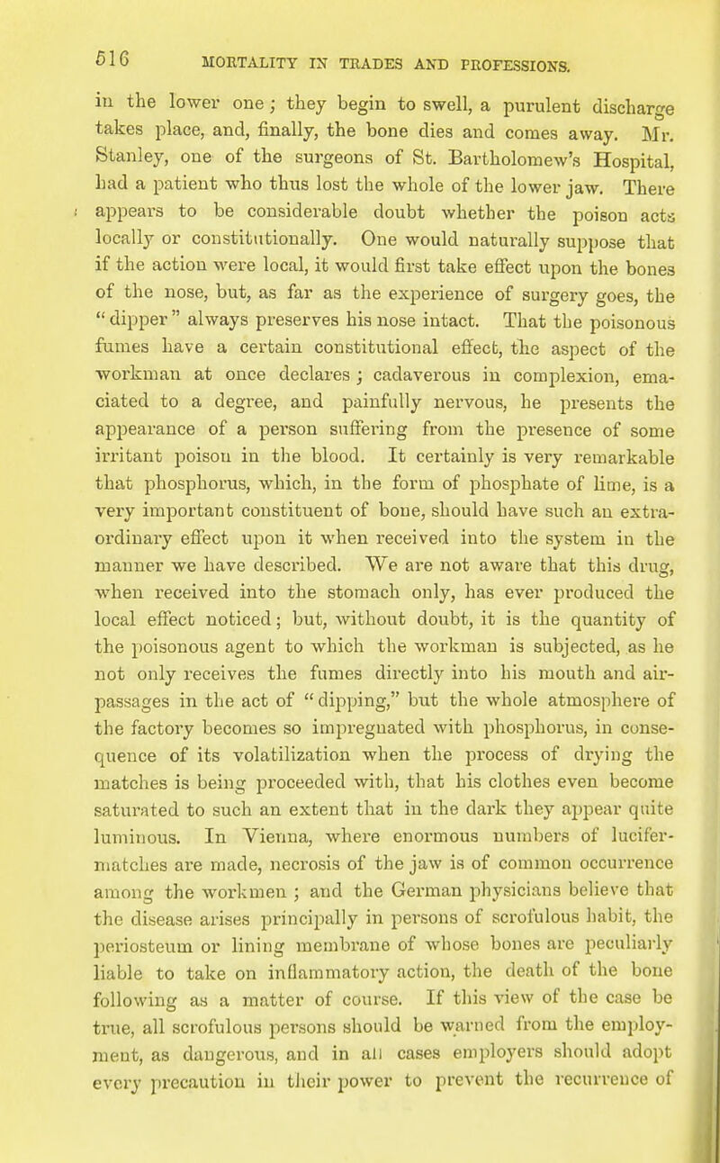 in the lower one ; they begin to swell, a purulent discharge takes place, and, finally, the bone dies and comes away. Mr. Stanley, one of the surgeons of St. Bartholomew's Hospital, had a patient who thus lost the whole of the lower jaw. There appears to be considerable doubt whether the poison acts locally or constitutionally. One would naturally suppose that if the action were local, it would first take effect upon the bones of the nose, but, as far as the experience of surgery goes, the dipper always preserves his nose intact. That the poisonous fumes have a certain constitutional eflfect, the aspect of the workman at once declares; cadaverous in complexion, ema- ciated to a degree, and painfully nervous, he presents the appearance of a person suffering from the presence of some irritant poison in tlie blood. It certainly is very remarkable that phosphorus, which, in the form of phosphate of lime, is a very important constituent of bone, should have such an extra- ordinary eflTect upon it when received into the system in the manner we have described. VVe are not aware that this drug, when received into the stomach only, has ever produced the local effect noticed; but, without doubt, it is the quantity of the poisonous agent to which the workman is subjected, as he not only receives the fumes directly into his mouth and air- passages in the act of  dipping, but the whole atmosphere of the factory becomes so impregnated with phosphorus, in conse- quence of its volatilization when the process of drying the matches is being proceeded with, that his clothes even become saturated to such an extent that in the dark they appear quite luminous. In Vienna, where enormous numbers of lucifer- niatches are made, necrosis of the jaw is of common occurrence among the workmen ; and the German physicians believe that the disease arises principally in persons of scrofulous habit, the periosteum or lining membrane of whose bones are peculiarly liable to take on inQammatory action, the death of the bone following as a matter of course. If this view of the case be true, all scrofulous persons should be warned from the employ- ment, as dangerous, and in all cases employers should adopt every precaution in their power to prevent the recurrence of