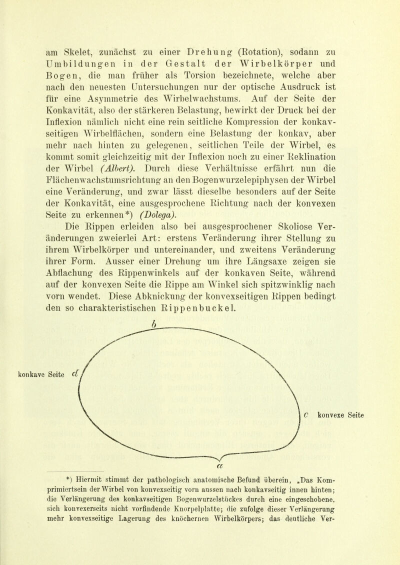 am Skelet, zunächst zu einer Drehung (Eotation), sodann zu Umbildungen in der Gestalt der Wirbelkörper und Bogen, die man früher als Torsion bezeichnete, welche aber nach den neuesten Untersuchungen nur der optische Ausdruck ist für eine Asymmetrie des Wirbelwachstums. Auf der Seite der Konkavität, also der stärkeren Belastung, bewirkt der Druck bei der Inflexion nämlich nicht eine rein seitliche Kompression der konkav- seitigen Wirbelflächen, sondern eine Belastung der konkav, aber mehr nach hinten zu gelegenen, seitlichen Teile der Wirbel, es kommt somit gleichzeitig mit der Inflexion noch zu einer Reklination der Wirbel (Albert). Durch diese Verhältnisse erfährt nun die Flächenwachstumsrichtung an den Bogenwurzelepiphysen der Wirbel eine Veränderung, und zwar lässt dieselbe besonders auf der Seite der Konkavität, eine ausgesprochene Richtung nach der konvexen Seite zu erkennen*) (Bolega). Die Rippen erleiden also bei ausgesprochener Skoliose Ver- änderungen zweierlei Art: erstens Veränderung ihrer Stellung zu ihrem Wirbelkörper und untereinander, und zweitens Veränderung ihrer Form. Ausser einer Drehung um ihre Längsaxe zeigen sie Abflachung des Rippenwinkels auf der konkaven Seite, während auf der konvexen Seite die Rippe am Winkel sich spitzwinklig nach vorn wendet. Diese Abknickung der konvexseitigen Rippen bedingt den so charakteristischen Rippenbuckel. *) Hiermit stimmt der patholog-isch anatomische Befund überein, „Das Kom- primiertsein der Wirbel von konvexseitig vorn aussen nach konkavseitig innen hinten; die Verlängerung des konkavseitigen Bogenwurzelstückes durch eine eingeschobene, sich konvexerseits nicht vorfindende Knorpelplatte; die zufolge dieser Verlängerung mehr konvexseitige Lagerung des knöchernen Wirbelkörpers; das deutliche Ver- b konkave Seite cl C konvexe Seite