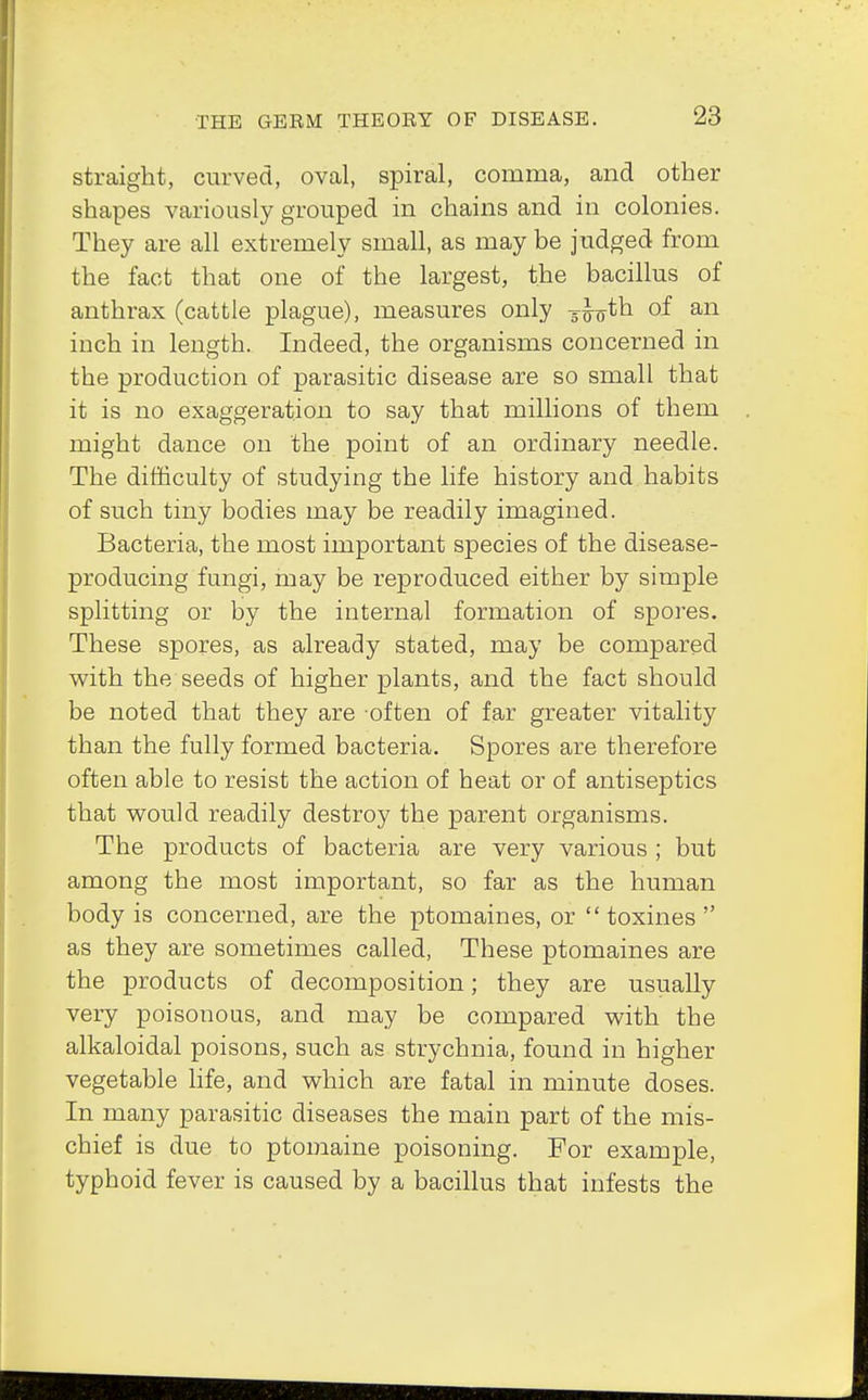 straight, curved, oval, spiral, comma, and other shapes variously grouped in chains and in colonies. They are all extremely small, as may be judged from the fact that one of the largest, the bacillus of anthrax (cattle plague), measures only -^th of an inch in length. Indeed, the organisms concerned in the production of parasitic disease are so small that it is no exaggeration to say that millions of them might dance on the point of an ordinary needle. The difficulty of studying the life history and habits of such tiny bodies may be readily imagined. Bacteria, the most important species of the disease- producing fungi, may be reproduced either by simple splitting or by the internal formation of spores. These spores, as already stated, may be compared with the seeds of higher plants, and the fact should be noted that they are often of far greater vitality than the fully formed bacteria. Spores are therefore often able to resist the action of heat or of antiseptics that would readily destroy the parent organisms. The products of bacteria are very various ; but among the most important, so far as the human body is concerned, are the ptomaines, or  toxines  as they are sometimes called, These ptomaines are the products of decomposition; they are usually very poisonous, and may be compared with the alkaloidal poisons, such as strychnia, found in higher vegetable life, and which are fatal in minute doses. In many parasitic diseases the main part of the mis- chief is due to ptomaine poisoning. For example, typhoid fever is caused by a bacillus that infests the