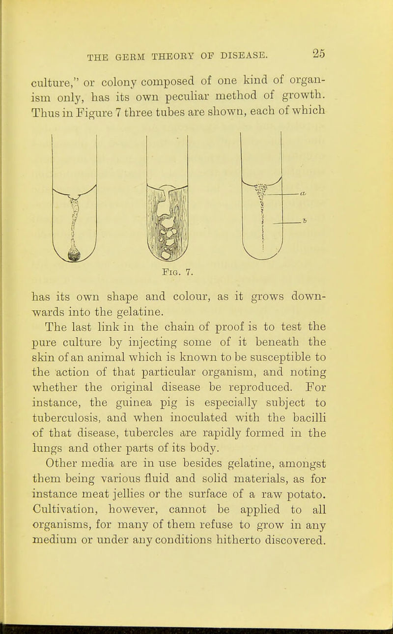 culture, or colony composed of one kind of organ- ism only, has its own peculiar method of growth. Thus in Figure 7 three tubes are shown, each of which Fig. 7. has its own shape and colour, as it grows down- wards into the gelatine. The last link in the chain of proof is to test the pure culture by injecting some of it beneath the skin of an animal which is known to be susceptible to the action of that particular organism, and noting whether the original disease be reproduced. For instance, the guinea pig is especially subject to tuberculosis, and when inoculated with the bacilli of that disease, tubercles are rapidly formed in the lungs and other parts of its body. Other media are in use besides gelatine, amongst them being various fluid and solid materials, as for instance meat jellies or the surface of a raw potato. Cultivation, however, cannot be applied to all organisms, for many of them refuse to grow in any medium or under any conditions hitherto discovered.