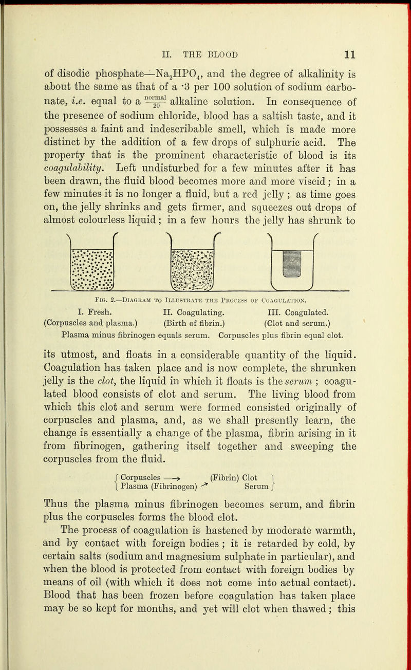 of disodic phosphate—NagHPO^, and the degree of alkaHnity is about the same as that of a -3 per 100 solution of sodium carbo- nate, i.e. equal to a '^2^^ alkaline solution. In consequence of the presence of sodium chloride, blood has a saltish taste, and it possesses a faint and indescribable smell, which is made more distinct by the addition of a few drops of sulphuric acid. The property that is the prominent characteristic of blood is its coagulability. Left undisturbed for a few minutes after it has been drawn, the fluid blood becomes more and more viscid; in a few minutes it is no longer a fluid, but a red jelly ; as time goes on, the jelly shrinks and gets firmer, and squeezes out drops of almost colourless liquid; in a few hours the jelly has shrunk to \ r \ r \ Fig. 2.—Diagram to Illustrate the Process op Coagulation. I. Fresh. IT. Coagulating. III. Coagulated. (Corpuscles and plasma.) (Birth of fibrin.) (Clot and serum.) Plasma minus fibrinogen equals serum. Corpuscles plus fibrin equal clot. its utmost, and floats in a considerable quantity of the liquid. Coagulation has taken place and is now complete, the shrunken jelly is the clot, the liquid in which it floats is the serum ; coagu- lated blood consists of clot and serum. The living blood from which this clot and serum were formed consisted originally of corpuscles and plasma, and, as we shall presently learn, the change is essentially a change of the plasma, fibrin arising in it from fibrinogen, gathering itself together and sweeping the corpuscles from the fluid. / Corpuscles > (Fibrin) Clot \ Plasma (Fibrinogen) ^ Serum J Thus the plasma minus fibrinogen becomes serum, and fibrin plus the corpuscles forms the blood clot. The process of coagulation is hastened by moderate warmth, and by contact with foreign bodies ; it is retarded by cold, by certain salts (sodium and magnesium sulphate in particular), and when the blood is protected from contact with foreign bodies by means of oil (with which it does not come into actual contact). Blood that has been frozen before coagulation has taken place may be so kept for months, and yet will clot when thawed; this