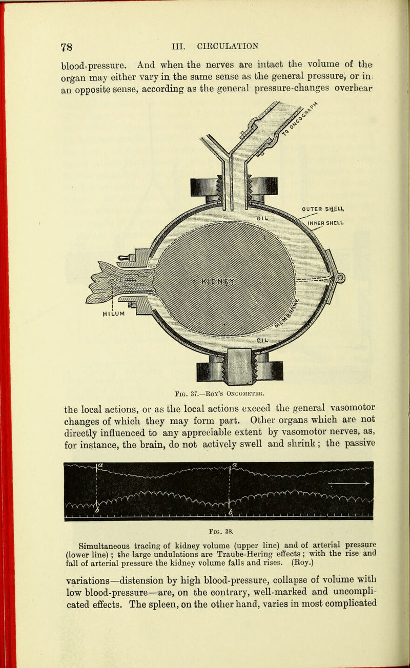 blood-pressure. And when the nerves are mtact the volume of the organ may either vary in the same sense as the general pressure^ or in an opposite sense, according as the general pressure-changes overbear OUTER SliEtl, NNER SHELL Fig. 37.—Eoy's Oncometku. the local actions, or as the local actions exceed the general vasomotor changes of which they may form part. Other organs which are not directly influenced to any appreciable extent by vasomotor nerves, as, for instance, the brain, do not actively swell and shrink ; the passive Fig. 38. Simultaneous tracing of kidney volume (upper line) and of arterial pressure (lower line); the large undulations are Traube-Hering effects; with the rise and fall of arterial pressure the kidney volume falls and rises, (Boy.) variations—distension by high blood-pressure, collapse of volume with low blood-pressure—are, on the contrary, well-marked and uncompli- cated effects. The spleen, on the other hand, varies in most complicated