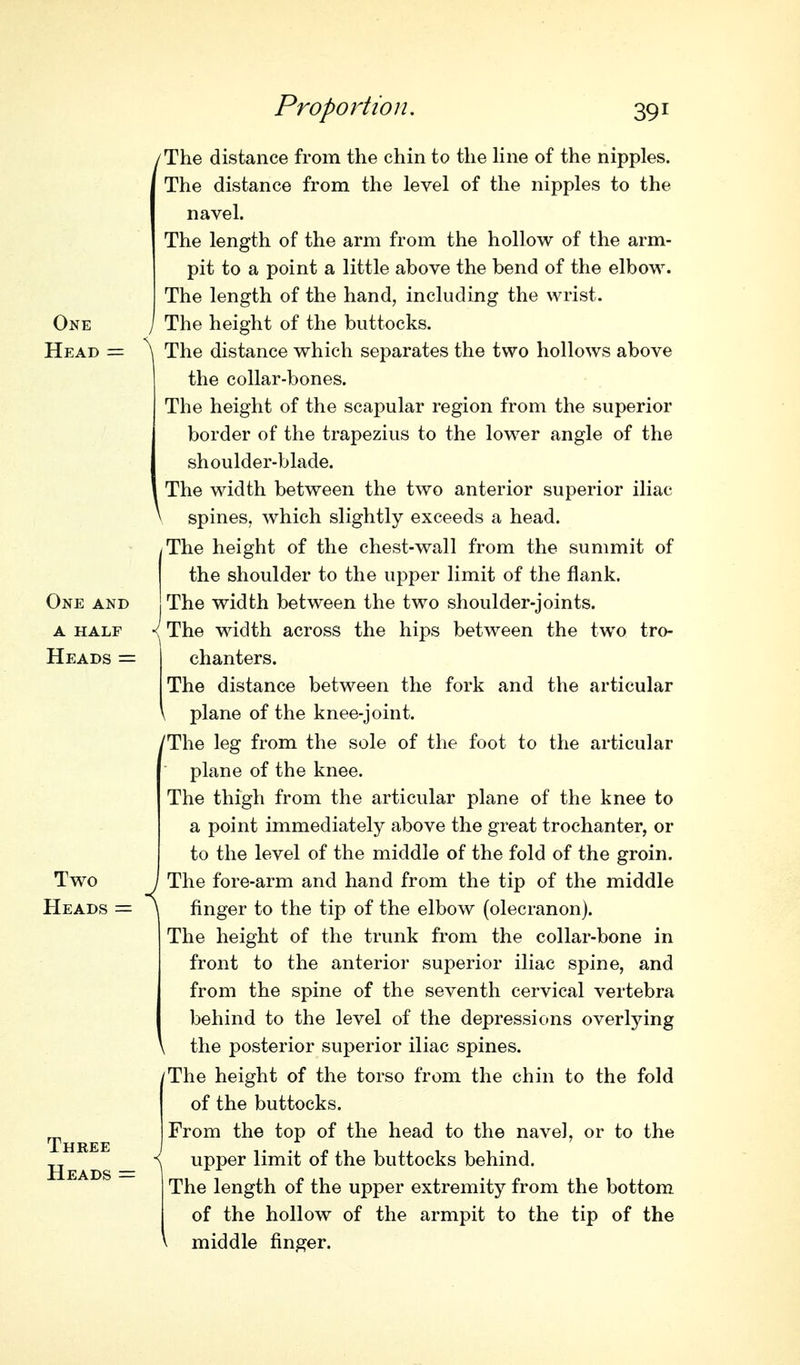 One Head = One and A HALF Heads = Two Heads = Three Heads = /The distance from the chin to the hne of the nipples. The distance from the level of the nipples to the navel. The length of the arm from the hollow of the arm- pit to a point a little above the bend of the elbow. The length of the hand, including the wrist. The height of the buttocks. ^ The distance which separates the two hollows above the collar-bones. The height of the scapular region from the superior border of the trapezius to the lower angle of the shoulder-blade. The width between the two anterior superior iliac \ spines, which slightly exceeds a head. The height of the chest-wall from the summit of the shoulder to the upper limit of the flank. The width between the two shoulder-joints. •<f The width across the hips between the two tro- chanters. The distance between the fork and the articular \ plane of the knee-joint. /The leg from the sole of the foot to the articular plane of the knee. The thigh from the articular plane of the knee to a point immediately above the great trochanter, or to the level of the middle of the fold of the groin. The fore-arm and hand from the tip of the middle finger to the tip of the elbow (olecranon). The height of the trunk from the collar-bone in front to the anterior superior iliac spine, and from the spine of the seventh cervical vertebra behind to the level of the depressions overlying the posterior superior iliac spines. The height of the torso from the chin to the fold of the buttocks. From the top of the head to the navel, or to the \ upper limit of the buttocks behind. The length of the upper extremity from the bottom of the hollow of the armpit to the tip of the middle finger.