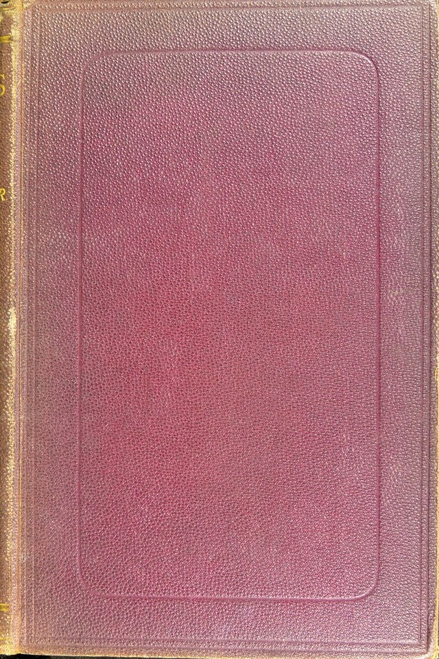 No text description is available for this image