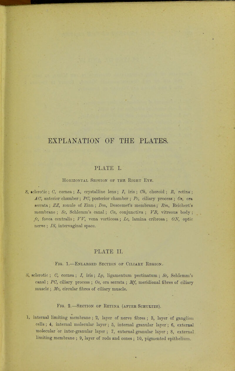 EXPLANATION OF THE PLATES. PLATE I. HORIZOKTAL SeOTION OF THE RiGHT EtE. S, iclerotic ; C, cornea ; L, crj'stalline lens ; /, iris ; Ch, choroid ; It, retina ; A 0, anterior chamber ; PG, posterior chamber ; Pc, ciliary process ; Os, ora aeiTata; ZZ, zonule of Zinn ; Dm, Descemet's membrane; Rm, Reichert's membrane ; Sc, Schlemm's canal; Ca, conjunctiva ; VB, vitreous body ; fc, fovea centralis ; VV, vena vorticosa; Lc, lamina cribrosa ; ON, optic nerve ; IS, intervaginal space. PLATE II. FiQ. 1.—Enlarged Section of Ciliary Region.. .S!, sclerotic ; C, cornea ; /, iris ; Lp, ligamentum pectinatum ; Sc,. Sehlenma's canal; PC, ciliary process ; Os, ora serrata ; Mf, meridional fibres of ciliary muscle ; Mc, circular fibres of ciliary muscle. Fig. 2.—Section of Retina (after Schultze). 1, internal limiting membrane; 2, layer of nerve fibres ; 3, layer of ganglion cells ; 4, intenial molecular layer; 5, internal granular layer ; 6, external molecular or inter-granular layer ; 7, external granular layer ; 8, external