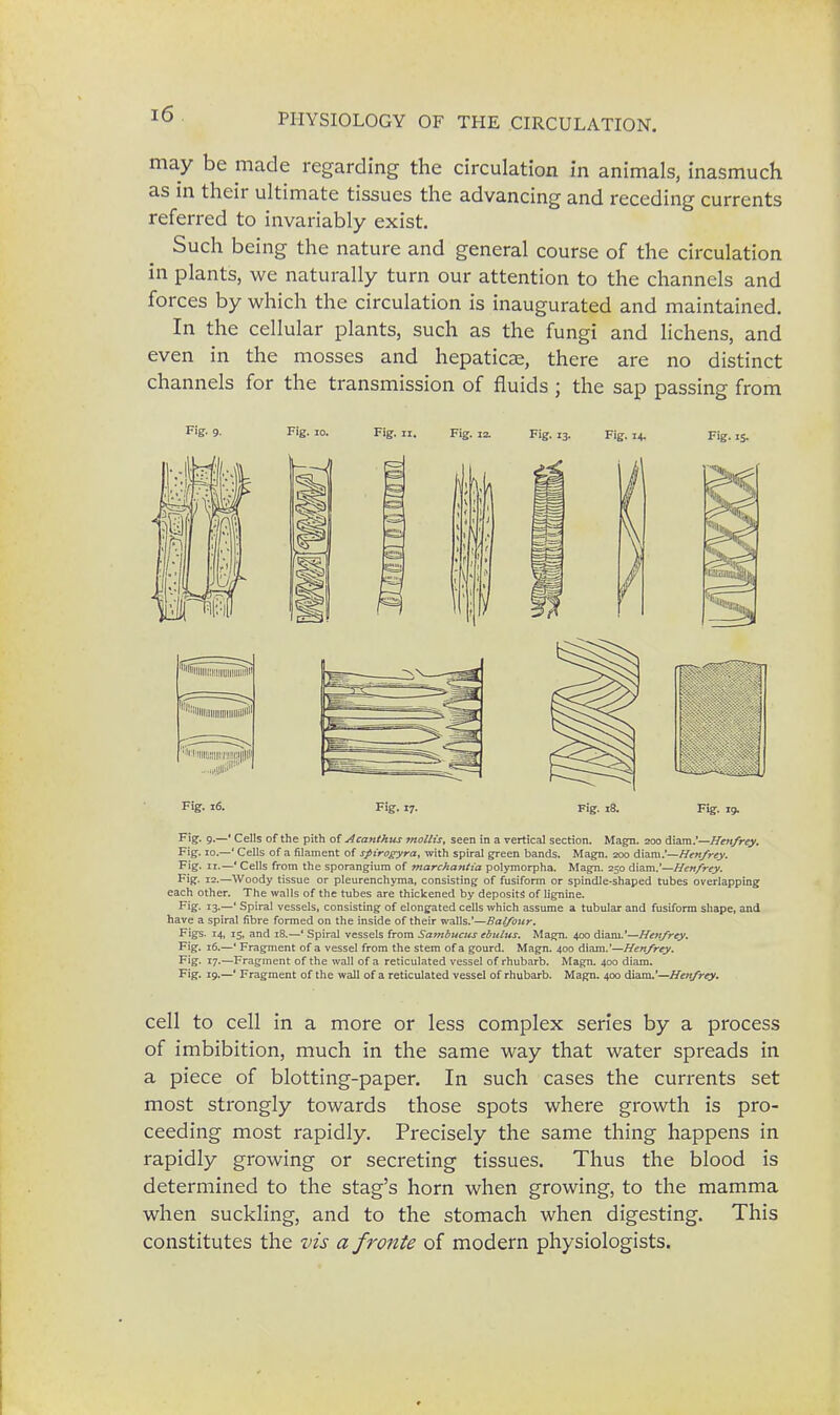 may be made regarding the circulation in animals, inasmuch as in their ultimate tissues the advancing and receding currents referred to invariably exist. Such being the nature and general course of the circulation in plants, we naturally turn our attention to the channels and forces by which the circulation is inaugurated and maintained. In the cellular plants, such as the fungi and lichens, and even in the mosses and hepaticae, there are no distinct channels for the transmission of fluids ; the sap passing from Fig. 9. Fig. 30. Fig. it. Fig. 12. Fig. 13. Fig. 14. Fig. is. Fig. 16. Fig. 17. Fig. 18. Fig. 19, Fig. 9-—' Cells of the pith of Acanthus mollis, seen in a vertical section. Magn. 200 diam.'—Henfrey. Fig. 10.—' Cells of a filament of spirogyra, with spiral green bands. Magn. 200 diam.'—Henfrey. Fig. 11.—' Cells from the sporangium of marchantia polymorpha. Magn. 250 diam.'—Henfrey. Fig. 12.—Woody tissue or pleurenchyma, consisting of fusiform or spindle-shaped tubes overlapping each other. The walls of the tubes are thickened by deposits of lignine. Fig- 13-—' Spiral vessels, consisting of elongated cells which assume a tubular and fusiform shape, and have a spiral fibre formed on the inside of their walls.'—Balfour. Figs. 14, 15, and 18.—' Spiral vessels from Sambucus ebulus. Magn. 400 diam.'—Henfrey. Fig. 16.—' Fragment of a vessel from the stem of a gourd. Magn. 400 diam.'—Henfrey. Fig. 17.—Fragment of the wall of a reticulated vessel of rhubarb. Magn. 400 diam. Fig. 19.—' Fragment of the wall of a reticulated vessel of rhubarb. Magn. 400 diam.'—Henfrey. cell to cell in a more or less complex series by a process of imbibition, much in the same way that water spreads in a piece of blotting-paper. In such cases the currents set most strongly towards those spots where growth is pro- ceeding most rapidly. Precisely the same thing happens in rapidly growing or secreting tissues. Thus the blood is determined to the stag's horn when growing, to the mamma when suckling, and to the stomach when digesting. This constitutes the vis a fronte of modern physiologists.