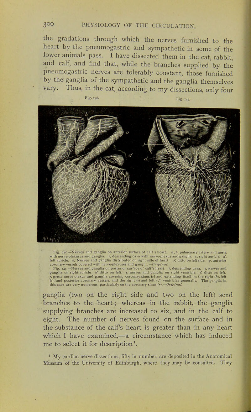 the gradations through which the nerves furnished to the heart by the pneumogastric and sympathetic in some of the lower animals pass. I have dissected them in the cat, rabbit, and calf, and find that, while the branches supplied by the pneumogastric nerves are tolerably constant, those furnished by the ganglia of the sympathetic and the ganglia themselves vary. Thus, in the cat, according to my dissections, only four FiS- '46- Fig. 147. Fig. 146.—Nerves and ganglia on anterior surface of calf's heart, a, f>, pulmonary artery and aorta with nerve-plexuses and ganglia, i, descending cava with nerve-plexus and ganglia, c, right auricle. d% left auricle. e- Nerves and ganglia distributed on right side of heart. /, ditto on left side, ^.anterior coronary vessels covered with nerve-plexuses and gang i —Original. Fig. 147.—Nerves and ganglia on posterior surface of calf's heart, i, descending cava, c, nerves and ganglia on right auricle, d, ditto on left. e. nerves and ganglia on right ventricle. ft ditto on left. J, great nerve-plexus and ganglia covering coronary sinus (r) and extending itself nn the right ih). left (/). and posterior coronary vessels, and the right (f) and left if) ventricles generally. The ganglia in this case are very numerous, particularly on the coronary sinus (/-).—OriginaL ganglia (two on the right side and two on the left) send branches to the heart; whereas in the rabbit, the ganglia supplying branches are increased to six, and in the calf to eight. The number of nerves found on the surface and in the substance of the calf s heart is greater than in any heart which I have examined,—a circumstance which has induced me to select it for description1. 1 My cardiac nerve dissections, fifty in number, are deposited in the Anatomical Museum of the University of Edinburgh, where they may be consulted. They