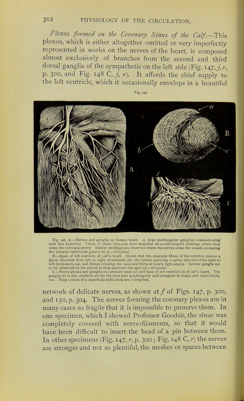 Plexus formed on the Coronary Sinus of the Calf—This, plexus, which is either altogether omitted or very imperfectly represented in works on the nerves of the heart, is composed almost exclusively of branches from the second and third dorsal ganglia of the sympathetic on the left side (Fig. 147,7, r> p. 300, and Fig. 148 C, J, r). It affords the chief supply to the left ventricle, which it occasionally envelops in a beautiful Fig. 148. Fig. 148, A.—Nerves and ganglia on horse's heart, a, large quadrangular ganglion communicating with five branches. Three of these branches form ampullae or spindle-shaped swellings where they cross the coronary artery. Similar swellings are observed where the nerves cross the vessels occupying the anterior ventricular groove (rf, e).—Original. B. —Apex of left ventricle of calf's heart. Shows that the muscular fibres of the ventricle pursue a spiral direction from left to right downwards [b); the nerves pursuing a spiral direction from right to left downwards (a), and always crossing the muscular fibres at nearly right angles. Several ganglia are to be observed on the nerves as they approach the apex (c).—Original. C. —Nerve-plexus and ganglia on coronary sinus (j) and base of left ventricle (I) of calf's heart. The ganglia (r) in this situation are for the most part quadrangular and triangular in shape, and stand boldly out. They consist of a superficial and a deep set.—Original. network of delicate nerves, as shown at / of Figs. 147, p. 300, and 150, p. 304. The nerves forming the coronary plexus are in many cases so fragile that it is impossible to preserve them. In one specimen, which I showed Professor Goodsir, the sinus was completely covered with nerve-filaments, so that it would have been difficult to insert the head of a pin between them. In other specimens (Fig. 147, r, p. 300 ; Fig. 148 C, r) the nerves are stronger and not so plentiful, the meshes or spaces between
