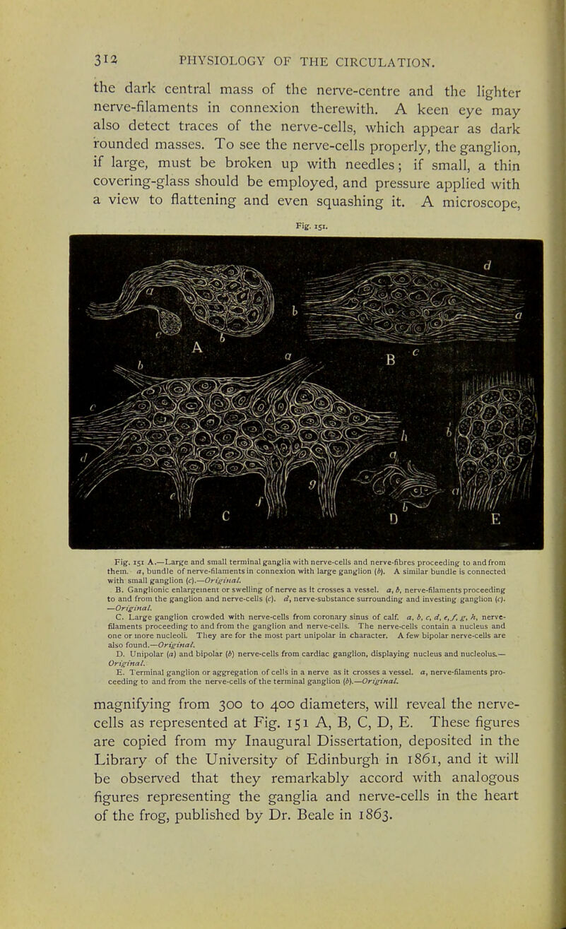 the dark central mass of the nerve-centre and the lighter nerve-filaments in connexion therewith. A keen eye may also detect traces of the nerve-cells, which appear as dark rounded masses. To see the nerve-cells properly, the ganglion, if large, must be broken up with needles; if small, a thin covering-glass should be employed, and pressure applied with a view to flattening and even squashing it. A microscope, Fig. 151. Fig. 151 A.—Large and small terminal ganglia with nerve-cells and nerve-fibres proceeding to and from them, a, bundle of nerve-filaments in connexion with large ganglion (b). A similar bundle is connected with small ganglion (c).—Original. B. Ganglionic enlargement or swelling of nerve as it crosses a vessel, a, b, nerve-filaments proceeding to and from the ganglion and nerve-cells (c). dt nerve-substance surrounding and investing ganglion {cj. —Original. C. Large ganglion crowded with nerve-cells from coronary sinus of calf. a. b, c, d, etf, g, h, nerve- filaments proceeding to and from the ganglion and nerve-cells. The nerve-cells contain a nucleus and one or more nucleoli. They are for the most part unipolar in character. A few bipolar nerve-cells are also found.—Original. D. Unipolar (a) and bipolar (b) nerve-cells from cardiac ganglion, displaying nucleus and nucleolus.— Original. E. Terminal ganglion or aggregation of cells in a nerve as it crosses a vessel, a, nerve-filaments pro- ceeding to and from the nerve-cells of the terminal ganglion {b).—Original. magnifying from 300 to 400 diameters, will reveal the nerve- cells as represented at Fig. 151 A, B, C, D, E. These figures are copied from my Inaugural Dissertation, deposited in the Library of the University of Edinburgh in 1861, and it will be observed that they remarkably accord with analogous figures representing the ganglia and nerve-cells in the heart of the frog, published by Dr. Beale in 1863.