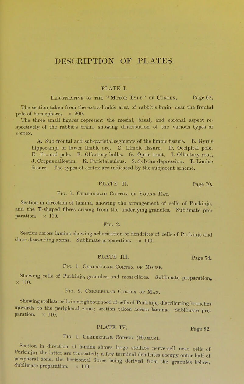 DESOEIPTION OF PLATES. PLATE I. Illustrative of the Motok Tyi'e of Cortex. Page 62. The section taken from the extra-limbic area of rabbit's brain, near the fi'ontal pole of hemisphere, x 200. The tluee small figures represent the mesial, basal, and coronal aspect re- -spectively of the rabbit's brain, showing distribution of the various types of oortex. A. Sub-frontal and sub-parietal segments of the limbic fissure. B. Gyrus hippocampi or lower limbic are. C. Limbic fissure. D. Occipital pole. E. Frontal pole. F. Olfactory bulbs. G. Optic tract. I. Olfactory root. J. Corpus callosum. K. Parietal sulcus. S. Sylvian depression. T. Limbic fissure. The types of cortex are indicated by the subjacent scheme. PLATE IT. Page 70. Fi(!. 1. Cerebellar Cortex of Young Rat. Section in direction of lamina, showing the arrangement of cells of Purkmje, And the T-shaped fibres arising from the underlying granules. Sublimate pre- paration. X 110. Fig. 2. Section across lamina showing arborisation of dendrites of cells of Pnrkinje and their descending axons. Sublimate preparation. x 110. PLATE in. Page 74. f^iG. 1. Cerebellar Cortex of Mouse. Showing cells of Purkinje, granules, and moss-fibres. Sublimate preparation. X no. ^ Fig. 2. Cerebellar Cortex of Man. Showing stellate cells in neighboiu-hood of cells of Purkinje, distributing branches upwards to the peripheral zone; section taken across lamina. Sublimate pre- paration. X 110. PLATE IV. Page 82. Fkj. 1. Cerebellar Cortex (Human). Section in direction of lamina shows large stellate nerve-cell near cells of Purkmje; the latter are truncated; a few terminal dendrites occupy outer half of peripheral zone, the horizontal fibres being derived from the granules below. Jsublimate preparation, x 110.