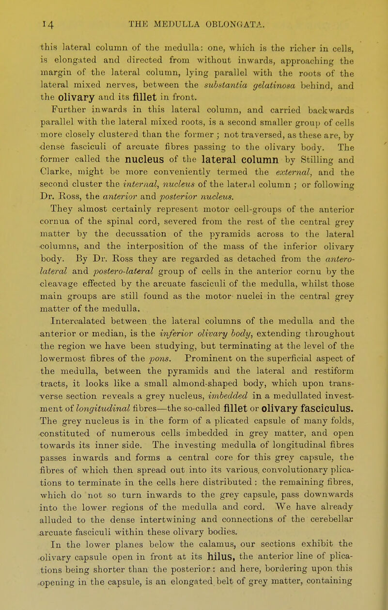 this Lateral column of the medulla: one, which is the richer in cells, is elongated and directed from without inwards, approaching the margin of the lateral column, lying parallel with the roots of the lateral mixed nerves, between the substantia gelatinosa behind, and the olivary and its fillet in front. Further inwards in this lateral column, and carried backwards parallel with the lateral mixed roots, is a second smaller group of cells more closely clustered than the former ; not traversed, as these are, by •dense fasciculi of arcuate fibres passing to the olivary body. The former called the nucleus of the lateral COlumn by Stilling and Clarke, might be more conveniently termed the external, and the second cluster the internal, nucleus of the lateral column ; or following Dr. Ross, the anterior and posterior nucleus. They almost certainly represent motor cell-groups of the anterior cornua of the spinal cord, severed from the rest of the central grey matter by the decussation of the pyramids across to the lateral columns, and the interposition of the mass of the inferior olivary body. By Dr. Ross they are regarded as detached from the antero- lateral and 2>ostero-lateral group of cells in the anterior cornu by the cleavage effected by the arcuate fasciculi of the medulla, whilst those main groups are still found as the motor nuclei in the central grey matter of the medulla. Intercalated between the lateral columns of the medulla and the anterior or median, is the inferior olivary body, extending throughout the region we have been studying, but terminating at the level of the lowermost fibres of the po?is. Prominent on the superficial aspect of the medulla, between the pyramids and the lateral and restiform tracts, it looks like a small almond-shaped body, Avhich upon trans- verse section reveals a grey nucleus, imbedded in a medullated invest- ment o{ longitudinal fibres—the so-called fillet or ollvapy fasciculus. The grey nucleus is in the form of a plicated capsule of many folds, constituted of numerous cells imbedded in grey matter, and open towards its inner side. The investing medulla of longitudinal fibres passes inwards and forms a central core for this grey capsule, the fibres of which then spread out into its various, convolutionary plica- tions to terminate in the cells here distributed : the remaining fibres, which do not so turn inwards to the grey capsule, pass downwards into the lower regions of the medulla and cord. We have already alluded to the dense intertwining and connections of the cerebellar arcuate fasciculi within these olivary bodies. In the lower planes below the calamus, our sections exhibit the •olivary capsule open in front at its hilus, the anterior line of plica- tions being shorter than the posterior: and here, bordering upon this .opening in the capsule, is an elongated belt of grey matter, containing
