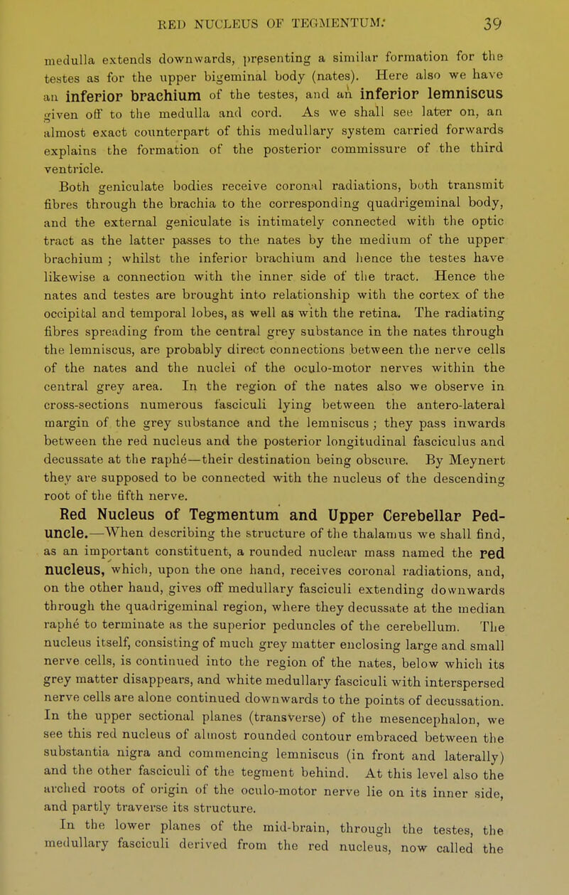 medulla extends downwards, prpsenting a similar formation for the testes as for the upper bigeminal body (nates). Here also we have an infepior bpachium of the testes, and an inferior lemniscus given off to the medulla and cord. As we shall see later on, an almost exact counterpart of this medullary system carried forwards explains the formation of the posterior commissure of the third ventricle. Both geniculate bodies receive coron:il radiations, both transmit fibres through the brachia to the corresponding quadrigeminal body, and the external geniculate is intimately connected with the optic tract as the latter passes to the nates by the medium of the upper brachium ; whilst the inferior brachium and hence the testes have likewise a connection with the inner side of the tract. Hence the nates and testes are brought into relationship with the cortex of the occipital and temporal lobes, as well as with the retina. The radiating fibres spreading from the central grey substance in the nates through the lemniscus, are probably direct connections between the nerve cells of the nates and the nuclei of the oculo-motor nerves within the central grey area. In the region of the nates also we observe in cross-sections numerous fasciculi lying between the antero-lateral margin of the grey substance and the lemniscus ; they pass inwards between the red nucleus and the posterior longitudinal fasciculus and decussate at the raphe—their destination being obscure. By Meynert they are supposed to be connected with the nucleus of the descending root of the fifth nerve. Red Nucleus of Teg-mentum and Upper Cerebellar Ped- uncle.—When describing the structure of the thalamus we shall find, as an important constituent, a rounded nuclear mass named the red nucleus, which, upon the one hand, receives coronal radiations, and, on the other hand, gives ofi medullary fasciculi extending downwards through the quadrigeminal region, where they decussate at the median raphe to terminate as the superior peduncles of the cerebellum. The nucleus itself, consisting of much grey matter enclosing large and small nerve cells, is continued into the region of the nates, below which its grey matter disappears, and white medullary fasciculi with interspersed nerve cells are alone continued downwards to the points of decussation. In the upper sectional planes (transverse) of the mesencephalon, we see this red nucleus of almost rounded contour embraced between the substantia nigra and commencing lemniscus (in front and laterally) and the other fasciculi of the tegment behind. At this level also the arched roots of origin of the oculo-motor nerve lie on its inner side, and partly traverse its structure. In the lower planes of the mid-brain, through the testes, the medullary fasciculi derived from the red nucleus, now called the