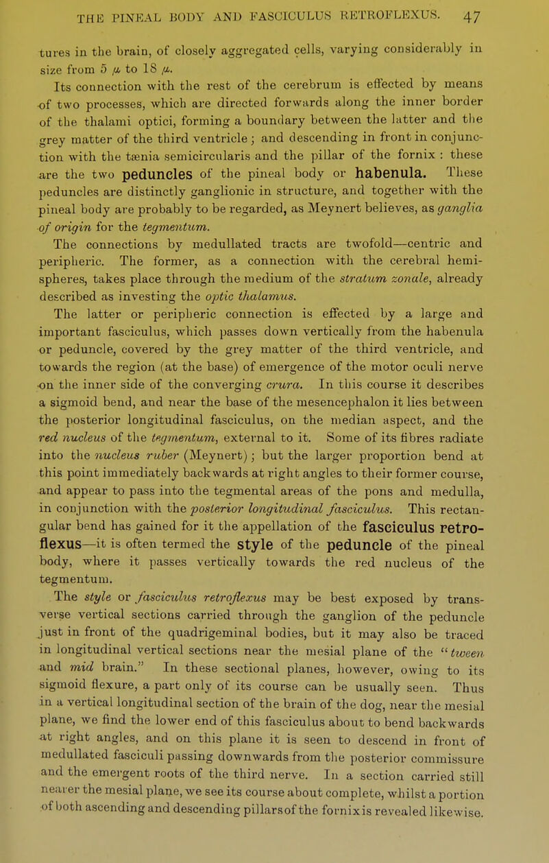 tures in the brain, of closely aggregated cells, varying considerably in size from 5 to IS ,«.. Its connection with the rest of the cerebrum is effected by means of two processes, which are directed forwards along the inner border of the thalami optici, forming a boundary between the latter and tlie grey matter of the third ventricle ; and descending in front in conjunc- tion with the tisenia semicirciilaris and the pillar of the fornix : these are the two peduncles of the pineal body or habenula. These peduncles are distinctly ganglionic in structure, and together with the pineal body are probably to be regarded, as Meynert believes, as ganglia of origin for the tegmentum. The connections by medullated tracts are twofold—centric and peripheric. The former, as a connection with the cerebral hemi- spheres, takes place through the medium of the stratum zonule, already described as investing the optic ihalamtis. The latter or peripheric connection is effected by a large and important fasciculus, which passes down vertically from the habenula or peduncle, covered by the grey matter of the third ventricle, and towards the region (at the base) of emergence of the motor oculi nerve •on the inner side of the converging cru7-a. In this course it describes a sigmoid bend, and near the base of the mesencephalon it lies between the posterior longitudinal fasciculus, on the median aspect, and the red nucleus of the tegmentum, external to it. Some of its fibres radiate into the nucleus ruber (Meynert); but the larger proportion bend at this point immediately backwards at right angles to their former course, and appear to pass into the tegmental areas of the pons and medulla, in conjunction with the posterior longitudinal fasciculus. This rectan- gular bend has gained for it the appellation of the fasciculus retPO- flexus—it is often termed the style of the peduncle of the pineal body, where it passes vertically towards the red nucleus of the tegmentum. The style or fascicuhis retrojlexus may be best exposed by trans- verse vertical sections carried through the ganglion of the peduncle just in front of the quadrigeminal bodies, but it may also be traced in longitudinal vertical sections near the mesial plane of the  tween and mid brain. In these sectional planes, however, owing to its sigmoid flexure, a part only of its course can be usually seen. Thus in a vertical longitudinal section of the brain of the dog, near the mesial plane, we find the lower end of this fasciculus about to bend backwards at right angles, and on this plane it is seen to descend in front of medullated fasciculi passing downwards from the posterior commissure and the emergent roots of the third nerve. In a section carried still nearer the mesial plane, we see its course about complete, whilst a portion of both ascending and descending pillarsof the fornixis revealed likewise.