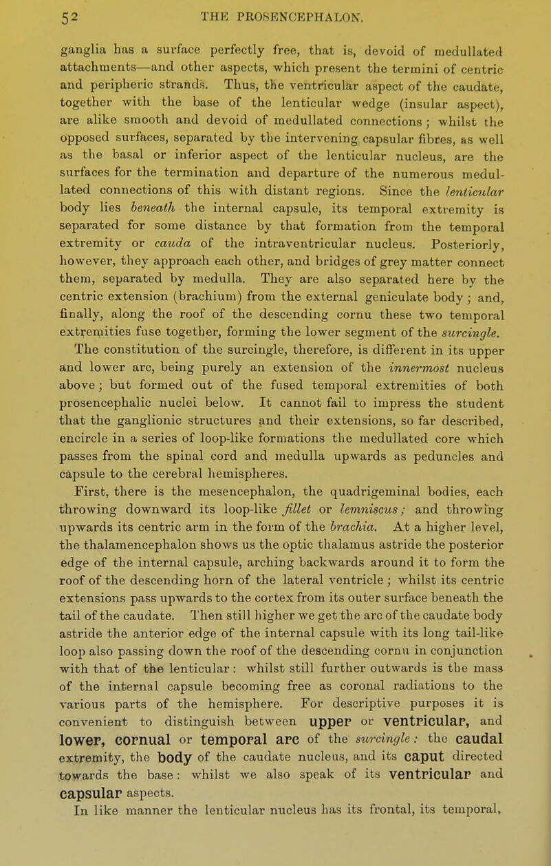 ganglia has a surface perfectly free, that is, devoid of meduUated attachments—and other aspects, which present the termini of centrie and peripheric strands. Thus, the ventricular aspect of the caudate, together with the base of the lenticular wedge (insular aspect), are alike smooth and devoid of medullated connections; whilst the opposed surfaces, separated by the intervening capsular fibres, as well as the basal or inferior aspect of the lenticular nucleus, are the surfaces for the termination and departure of the numerous medul- lated connections of this with distant regions. Since the Imticxdar body lies beneath the internal capsule, its temporal extremity is separated for some distance by that formation from the temporal extremity or cauda of the intraventricular nucleus. Posteriorly, however, they approach each other, and bridges of grey matter connect them, separated by medulla. They are also separated here by the centric extension (brachium) from the external geniculate body ; and, finally, along the roof of the descending cornu these two temporal extrer^iities fuse together, forming the lower segment of the surcingle. The constitution of the surcingle, therefore, is different in its upper and lower arc, being purely an extension of the innermost nucleus above; but formed out of the fused tem])oral extremities of both prosencephalic nuclei below. It cannot fail to impress the student that the ganglionic structures and their extensions, so far described, encircle in a series of loop-like formations the medullated core which passes from the spinal cord and medulla upwards as peduncles and capsule to the cerebral hemispheres. First, there is the mesencephalon, the quadrigeminal bodies, each throwing downward its loop-like fillet or lemniscus; and throwing upwards its centric arm in the form of the irachia. At a higher level, the thalamencephalon shows us the optic thalamus astride the posterior edge of the internal capsule, arching backwards around it to form the roof of the descending horn of the lateral ventricle ; whilst its centric extensions pass upwards to the cortex from its outer surface beneath the tail of the caudate. Then still higher we get the arc of the caudate body astride the anterior edge of the internal capsule with its long tail-like loop also passing down the roof of the descending cornu in conjunction with that of the lenticular : whilst still further outwards is the mass of the internal capsule becoming free as coronal radiations to the various parts of the hemisphere. For descriptive purposes it is convenient to distinguish between upper or ventriculaP, and lower, cornual or temporal are of the surcingle.- the caudal extremity, tlie body of the caudate nucleus, and its caput directed towards the base: whilst we also speak of its ventricular and capsular aspects. In like manner the lenticular nucleus has its frontal, its temporal.