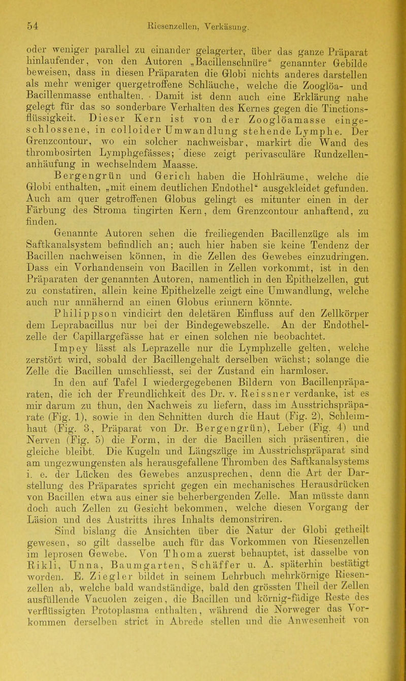 oder weniger parallel zu einander gelagerter, über das ganze Präparat hinlaufender, von den Autoren „Bacillenschnüre genannter Gebilde beweisen, dass in diesen Präparaten die Globi nichts anderes darstellen als mehr weniger quergetroffene Schläuche, welche die Zooglöa- und Bacillenmasse enthalten. Damit ist denn auch eine Erklärung nahe gelegt für das so sonderbare Verhalten des Kernes gegen die Tinctions- flüssigkeit. Dieser Kern ist von der Zooglöamasse einge- schlossene, in colloider Umwan dlung stehende Lymphe. Der Grenzcontour, wo ein solcher nachweisbar, markirt die Wand des thrombosirten Lymphgefässes;  diese zeigt perivasculäre Rundzellen- anhäufung in wechselndem Maasse. Bergengrün und Gerich haben die Hohlräume, welche die Globi enthalten, „mit einem deutlichen Endothel ausgekleidet gefunden. Auch am quer getroffenen Globus gelingt es mitunter einen in der Färbung des Stroma tingirten Kern, dem Grenzcontour anhaftend, zu finden. Genannte Autoren sehen die freiliegenden Bacillenzüge als im Saftkanalsystem befindlich an; auch hier haben sie keine Tendenz der Bacillen nachweisen können, in die Zellen des Gewebes einzudringen. Dass ein Vorhandensein von Bacillen in Zellen vorkommt, ist in den Präparaten der genannten Autoren, namentlich in den Epithelzellen, gut zu constatiren, allein keine Epithelzelle zeigt eine Umwandlung, Avelche auch nur annähernd an einen Globus erinnern könnte. Philippson vindicirt den deletären Einfluss auf den Zellkörper dem Leprabacillus nur bei der Bindegewebszelle. An der Endothel- zelle der Capillargefässe hat er einen solchen nie beobachtet. Impey lässt als Leprazelle nur die Lymphzelle gelten, welche zerstört wird, sobald der Bacillengehalt derselben wächst; solange die Zelle die Bacillen umschliesst, sei der Zustand ein harmloser. In den auf Tafel I wiedergegebenen Bildern von Bacillenpräpa- raten, die ich der Freundlichkeit des Dr. v. Reissner verdanke, ist es mir darum zu thun, den Nachweis zu liefern, dass im Ausstrichspräpa- rate (Fig. 1), sowie in den Schnitten durch die Haut (Fig. 2), Schleim- haut (Fig. 3, Präparat von Dr. Bergen grün), Leber (Fig. 4) und Nerven (Fig. 5) die Form, in der die Bacillen sich präsentiren, die gleiche bleibt. Die Kugeln und Längszüge im Ausstrichspräparat sind am ungezwungensten als herausgefallene Thromben des Saftkanalsystems i. e. der Lücken des Gewebes anzusprechen, denn die Art der Dar- stellung des Präparates spricht gegen ein mechanisches Herausdrücken von Bacillen etwa aus einer sie beherbergenden Zelle. Man müsste dann doch auch Zellen zu Gesicht bekommen, welche diesen Vorgang der Läsion und des Austritts ihres Inhalts demonstriren. Sind bislang die Ansichten über die Natur der Globi getheilt gewesen, so gilt dasselbe auch für das Vorkommen von Riesenzellen im leprosen Gewebe. Von Thoma zuerst behauptet, ist dasselbe von Rikli, Unna, Baumgarten, Schäffer u. A. späterhin bestätigt worden. E. Ziegler bildet in seinem Lehrbuch mehrkörnige Riesen- zellen ab, welche bald wandständige, bald den grössten Theil der Zellen ausfüllende Vacuolen zeigen, die Bacillen und körnig-fädige Reste des verflüssigten Protoplasma enthalten, während die Norweger das Vor- kommen derselben strict in Abrede stellen und die Anwesenheit von