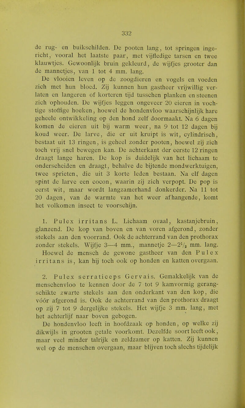 de rug- en buikschilden. De pooten lang, tot springen inge- richt, vooral het laatste paar, met vijfledige tarsen en twee klauwtjes. Gewoonlijk bruin gekleurd, de wijfjes grooter dan de mannetjes, van 1 tot 4 mm. lang. De vlooien leven op de zoogdieren en vogels en voeden zich met hun bloed. Zij kunnen hun gastheer vrijwillig ver- laten en langeren of korteren tijd tusschen planken en steenen zich ophouden. De wijfjes leggen ongeveer 20 eieren in voch- tige stoffige hoeken, hoewel de hondenvloo waarschijnlijk hare geheele ontwikkeling op den hond zelf doormaakt. Na 6 dagen komen de eieren uit bij warm weer, na 9 tot 12 dagen bij koud weer. De larve, die er uit kruipt is wit, cylindrisch, bestaat uit 13 ringen, is geheel zonder pooten, hoewel zij zich toch vrij snel bewegen kan. De achterkant der eerste 12 ringen draagt lange haren. De kop is duidelijk van het lichaam te onderscheiden en draagt, behalve de bijtende mondwerktuigen, twee sprieten, die uit 3 korte leden bestaan. Na elf dagen spint de larve een cocon, waarin zij zich verpopt. De pop is eerst wit, maar wordt langzamerhand donkerder. Na 11 tot 20 dagen, van de warmte van het weer afhangende, komt het volkomen insect te voorschijn. 1. Pulex irritans L. Lichaam ovaal, kastanjebruin, glanzend. De kop van boven en van voren afgerond, zonder stekels aan den voorrand. Ook de achterrand van den prothorax zonder stekels. Wijfje 3—4 mm., mannetje 2—2l/2 mm. lang. Hoewel de mensen de gewone gastheer van den Pulex irritans is, kan hij toch ook op honden en katten overgaan. 2. Pulex serraticeps Gervais. Gemakkelijk van de mcnschenvloo te kennen door de 7 tot 9 kamvormig gerang- schikte zwarte stekels aan den onderkant van den kop, die vóór afgerond is. Ook de achterrand van den prothorax draagt op zij 7 tot 9 dergelijke stekels. Het wijfje 3 mm. lang, met het achterlijf naar boven gebogen. De hondenvloo leeft in hoofdzaak op honden, op welke zij dikwijls in grooten getale voorkomt. Dezelfde soort leeft ook, maar veel minder talrijk en zeldzamer op katten. Zij kunnen wel op de menschen overgaan, maar blijven toch slechs tijdelijk