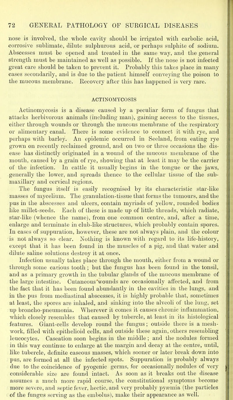 nose is involved, the whole cavity should be irrigated vpith carbolic acid, corrosive sublimate, dilute sulphurous acid, or perhaps sulphite of sodium. Abscesses must be opened and treated in the same way, and the general strength must be maintained as well as possible. If the nose is not infected great care should be taken to prevent it. Probably this takes place in many cases secondarily, and is due to the patient himself conveying the poison to the mucous membrane. Recovery after this has happened is very rare. ACTINOMYCOSIS Actinomycosis is a disease caused by a peculiar form of fungus that attacks herbivorous animals (includuig man), gaining access to the tissues, either through wounds or through the mucous membrane of the respiratory or alimentary canal. There is some evidence to connect it with rye, and perhaps with barley. An epidemic occurred in Seeland, from eating rye grown on recently reclaimed ground, and on two or three occasions the dis- ease has distinctly originated in a wound of the mucous membrane of the mouth, caused by a grain of rye, showing that at least it may be the carrier of the infection. In cattle it usually begins in the tongue or the jaws, generally the lower, and spreads thence to the cellular tissue of the sub- maxillary and cervical regions. The fungus itself is easily recognised by its characteristic star-like masses of mycelium. The granulation-tissue that forms the tumours, and the pus in the abscesses and ulcers, contain myriads of yellow, rounded bodies like millet-seeds. Each of these is made up of little threads, which radiate, star-like (whence the name), from one common centre, and, after a time, enlarge and terminate in club-like structures, which probably contain spores. In cases of suppuration, however, these are not always plain, and the colour is not always so clear. Nothing is known with regard to its life-history, except that it has been found in the muscles of a pig, and that water and dilute saline solutions destroy it at once. Infection usually takes place through the mouth, either from a womid or through some carious tooth ; but the fungus has been found in the tonsil, and as a primary growth in the tubular glands of the mucous membrane of the large intestine. Cutaneous'wounds are occasionally affected, and from the fact that it has been found abundantly in the cavities in the lungs, and hi the pus from mediastinal abscesses, it is highly probable that, sometimes at least, the spores are inhaled, and sinking into the alveoli of the lung, set up broncho-pneumonia. Wherever it comes it causes chronic inflammation, which closely resembles that caused by tubercle, at least in its histological features. Giant-cells develop round the fungus; outside there is a mesh- work, filled with epithelioid cells, and outside these again, others resembling leucocytes. Caseation soon begins in the middle ; and the nodules formed in this way continue to enlarge at the margin and decay at the centre, until, like tubercle, definite caseous masses, which sooner or later break down into pus, are formed at all the infected spots. Suppuration is probably always due to the coincidence of pyogenic germs, for occasionally nodules of very considerable size are found intact. As soon as it breaks out the disease assumes a much more rapid course, the constitutional symptoms become more severe, and septic fever, hectic, and very probably pyiemia (the particles of the fungus serving as the embolus), make their appearance as well.