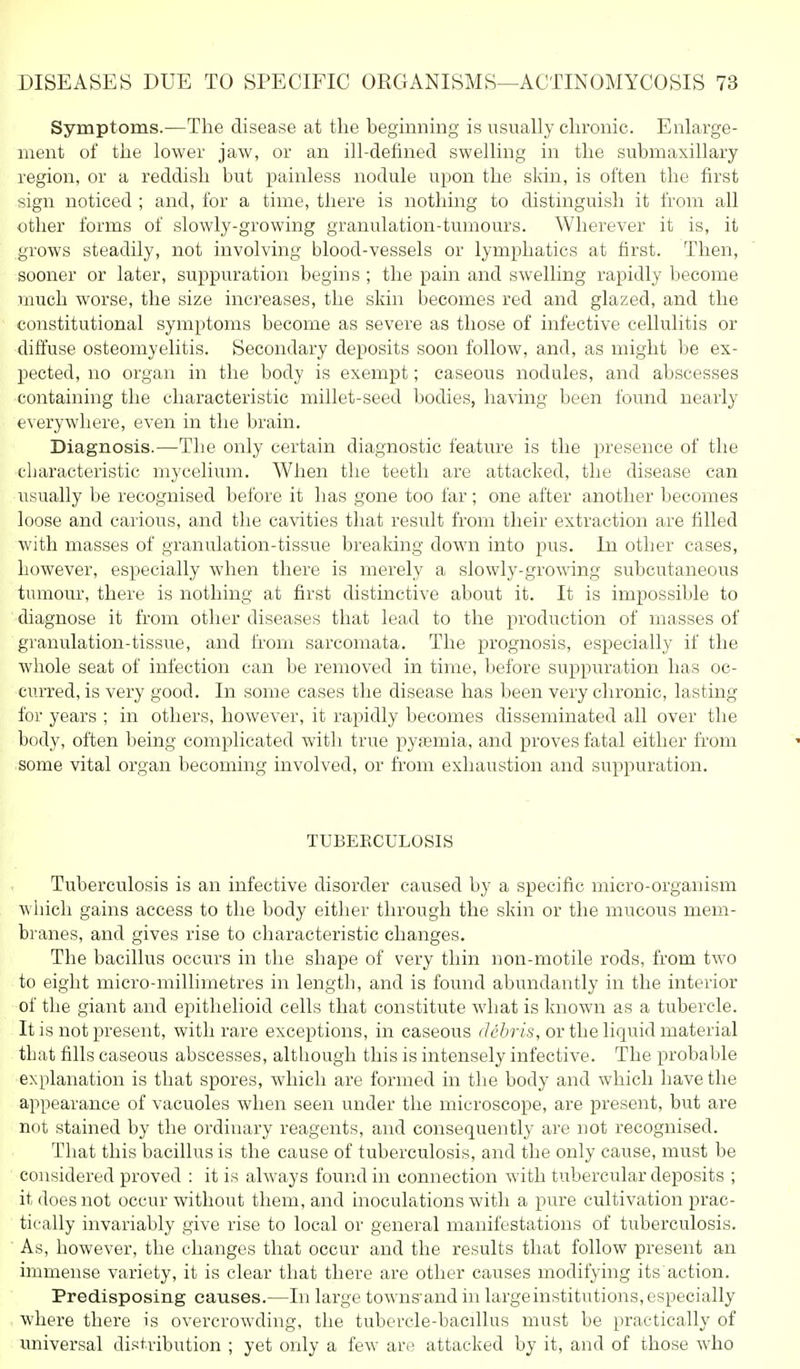 Symptoms.—The disease at the beginning is usually chronic. Enlarge- ment of the lower jaw, or an ill-defined swelling in the submaxillary region, or a reddish but painless nodule upon the skin, is often the first sign noticed ; and, for a time, there is nothing to distinguish it from all other forms of slowly-growing granulation-tumours. Wherever it is, it .grows steadily, not involving blood-vessels or lymphatics at first. Then, sooner or later, suppuration begins ; the pain and swelling rapidly become much worse, the size increases, the skin becomes red and glazed, and the constitutional symptoms become as severe as those of infective cellulitis or diffuse osteomyelitis. Secondary deposits soon follow, and, as might be ex- pected, no organ in the body is exempt; caseous nodules, and abscesses containing the characteristic millet-seed bodies, having been found nearly everywhere, even in the brain. Diagnosis.—The only certain diagnostic feature is the presence of the characteristic mycelium. When the teeth are attacked, the disease can usually be recognised before it has gone too far; one after another becomes loose and carious, and the cavities that result from their extraction are filled with masses of granulation-tissue breaking down into pus. In other cases, however, especially when there is merely a slowly-growing subcutaneous tumour, there is nothing at first distinctive about it. It is impossible to diagnose it from other diseases that lead to the production of masses of granulation-tissue, and from sarcomata. The prognosis, especially if the whole seat of infection can be removed in time, before suppuration has oc- curred, is very good. In some cases the disease has been very chronic, lasting for years ; in others, however, it rapidly becomes disseminated all over the body, often being complicated with true pyfemia, and proves fatal either from some vital organ becoming involved, or from exhaustion and suppuration. TUBEECULOSIS Tuberculosis is an infective disorder caused by a specific micro-organism wliich gains access to the body either through the skin or the mucous mem- bi-anes, and gives rise to characteristic changes. The bacillus occurs in the shape of very thin non-motile rods, from two to eight micro-millimetres in length, and is found abundantly in the interior of the giant and epithelioid cells that constitute what is known as a tubercle. It is not present, with rare exceptions, in caseous f /t'ftr/s, or the liquid material tbiit fills caseous abscesses, although this is intensely infective. The probable explanation is that spores, which are formed in the body and which have the appearance of vacuoles when seen under the microscope, are present, but are not stained by the ordinary reagents, and consequently are not recognised. That this bacillus is the cause of tuberculosis, and the only cause, must be considered proved : it is always found in connection with tubercular deposits ; it does not occur without them, and inoculations with a pure cultivation prac- tically invariably give rise to local or general manifestations of tuberculosis. As, however, the changes that occur and the results that follow present an immense variety, it is clear that there are other causes modifying its action. Predisposing causes.—In large towns'and in large institutions, especially where there is overcrowding, the tubercle-bacillus must be practically of universal distribution ; yet only a few are attacked by it, and of those who