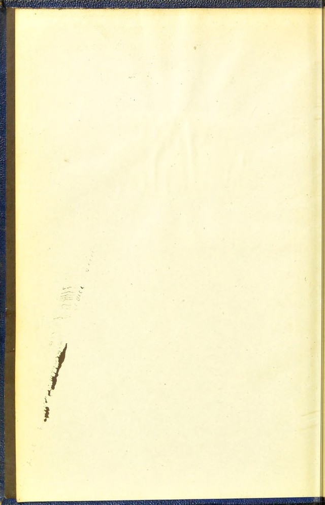 digitised image 2
