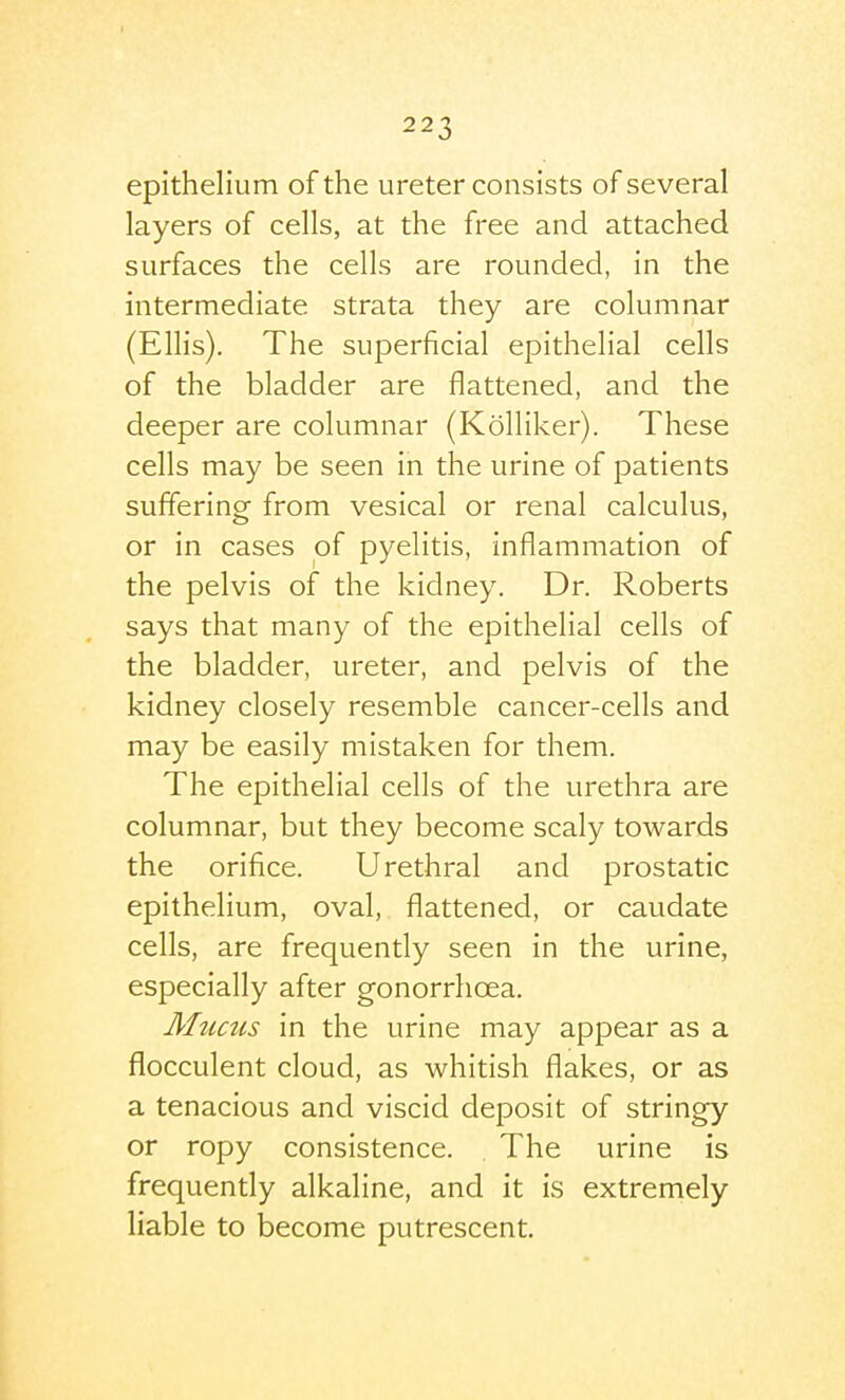 epithelium of the ureter consists of several layers of cells, at the free and attached surfaces the cells are rounded, in the intermediate strata they are columnar (Ellis). The superficial epithelial cells of the bladder are flattened, and the deeper are columnar (Kolliker). These cells may be seen in the urine of patients suffering from vesical or renal calculus, or in cases of pyelitis, inflammation of the pelvis of the kidney. Dr. Roberts says that many of the epithelial cells of the bladder, ureter, and pelvis of the kidney closely resemble cancer-cells and may be easily mistaken for them. The epithelial cells of the urethra are columnar, but they become scaly towards the orifice. Urethral and prostatic epithelium, oval, flattened, or caudate cells, are frequently seen in the urine, especially after gonorrhoea. Mucus in the urine may appear as a flocculent cloud, as whitish flakes, or as a tenacious and viscid deposit of stringy or ropy consistence. The urine is frequently alkaline, and it is extremely liable to become putrescent.