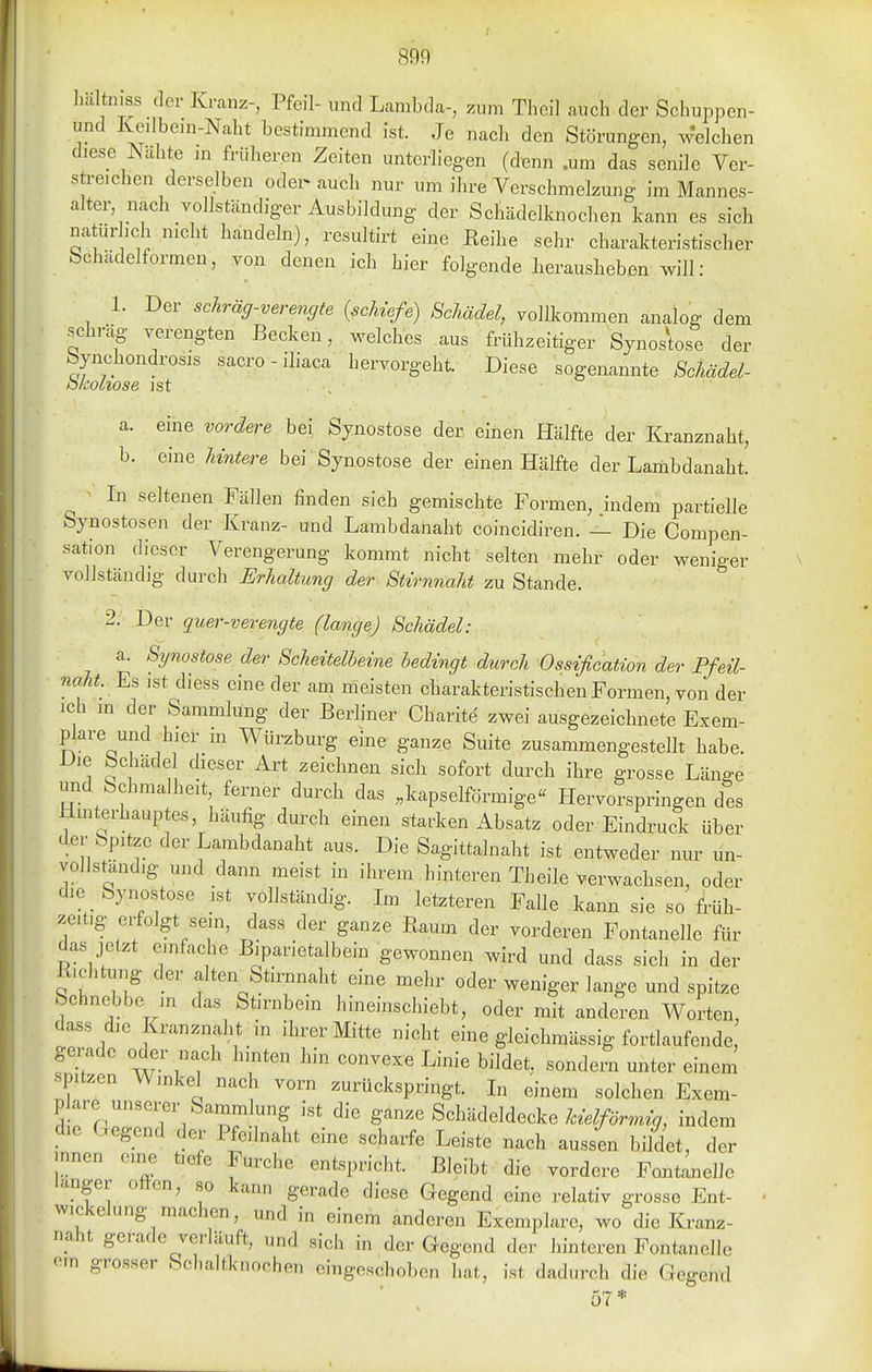 n, ei luiltniss tlor Kranz-, Pfeil- und Lambda-, zum Theil auch der Schuppen- und Kedbem-Naht bestimmend ist. Je nach den Störungen, welchen diese Aahte m früheren Zeiten unterliegen (denn .um das senile Ver- streichen derselben odei-auch nur um ihre Yerschmekung im Manncs- alter, nach vollständiger Ausbildung der Schädelknochen kann es sich natiirhch nicht handeln), resultirt eine Reihe sehr charakteristischer fechadelformen, von denen ich hier folgende herausheben will: 1. Der scTiräg-mrengte {schiefe) Schädel, vollkommen analog dem schräg verengten Becken, welches aus frühzeitiger Synostose der bynchondrosis sacro - iliaca hervorgeht Diese sogenannte Schädel- biMliose ist , a. eine vordere bei Synostose der einen Hälfte der Kranznaht, b. eine hintere bei Synostose der einen Hälfte der Lambdanaht. ^ In seltenen Fällen finden sich gemischte Formen, indem partielle bynostosen der Kranz- und Lambdanaht coincidiren. — Die Compen- satlon dieser Verengerung kommt nicht selten mehr oder weniger vollständig durch Erhaltung der Stirnnaht zu Stande. 2. Der quer-verengte (lange) Schädel: a. Synostose der Scheitelheine bedingt durch Ossification der Pfeil- naht. Es ist diess eine der am meisten charakteristischen Formen, von der icb „1 der Sammlung der Berliner Charite zwei ausgezeichnete Exem- plare und hier m Würzburg eine ganze Suite zusammengestellt habe. Die beilade dieser Art zeichnen sich sofort durch ihre grosse Länge und bchmalheit, ferner durch das „kapseiförmige'' Hervorspringen des Hinterhauptes, häufig durch einen starken Absatz oder Eindruck über der Spitze der Lambdanaht aus. Die Sagittalnaht ist entweder nur un- vollständig und dann meist in ihrem hinteren Theile verwachsen, oder die Synostose ist vollständig. Im letzteren Falle kann sie so früh- zeitig erfolgt sein, dass der ganze Baum der vorderen Fontanelle für das jetzt einfache Biparietalbein gewonnen wird und dass sich in der R.chtung der alten^Stirnnaht eine, mehr oder weniger lange und spitze Schnebbe in das Stirnbein hineinschiebt, oder mit anderen Worten, dass die Kranznaht in ihrer Mitte nicht eine gleichmässig fortlaufende, gerade oder nach hinten hin convexe Linie bildet, sondern unter einem spitzen Winkel nach vorn zurückspringt. In einem solchen Exem- plare unsem- Sammlung ist die ganze Schädeldecke 7ae^/™, indem die Gegend der Pfeilnaht eine scharfe Leiste nach aussen bildet, der mnen eine tiefe Furche entspricht. Bleibt die vordere Fontanelle langer otten, so kann gerade diese Gegend eine relativ grosse Ent- wckelung machen, und in einem anderen Exemplare, wo die Kranz- naht gerade verläuft, und sich in der Gegend der hinteren Fontanelle em grosser Schaltknochen eingeschoben hat, ist dadurch die Gegend
