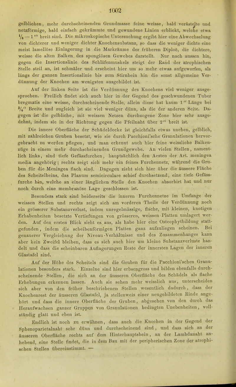 gelblichen, mehr durchscheinenden Grundmasse feine weisse, bald verästelte und netzförmige, bald einfach gekrümmte und gewundene Linien erblickt, welche etwa Y4 — 1' breit sind. Die mikroskopische Untersuchung ergibt hier eine Abwechselung von dichterer und weniger dichter Knochensubstanz, po dass die weniger dichte eine meist lamellöse Einlagerung in die Markräume der früheren Diploc, die dichtere, weisse die alten Balken des spongiösen Gewebes darstellt. Nur nach aussen hin, gegen die Insertionslinie des Schläfenmuskels steigt der Kand der atrophischen Stelle steil an, ist schmäler und erscheint hier um so mehr etwas aufgeworfen, als längs der ganzen Insertionslinie bis zum Stirnbein hin die sonst allgemeine Ver- dünnung der Knochen am wenigsten ausgebildet ist. Auf der linken Seite ist die Verdünnung des Knochens viel weniger ausge- sprochen. Freilich findet sich auch hier in der Gegend des geschwundenen Tuber bregmatis eine weisse, durchscheinende Stelle, allein diese hat kaum 1  Länge bei Breite und zugleich ist sie viel weniger dünn, als die der anderen Seite. Da- gegen ist die gelbliche, mit weissen Netzen durchzogene Zone liier sehr ausge- dehnt, indem sie in der Eichtung gegen die Pfeilnaht über 2 breit ist. Die innere Oberfläche der Schädeldecke ist gleichfalls etwas imeben, gelblich, mit zahlreichen Gruben besetzt, wie sie durch Pacchioni'sche Granulationen hervor- gebracht zu werden pflegen, und man erkennt auch hier feine weissliche Balken- züge in einem mehr durchscheinenden Grundgewebe. An vielen Stellen, nament- lich links, sind tiefe Gefässfurchen, hauptsächlich den Aesten der Art. meningea media angehörig; rechts zeigt sich mehr ein feines Furchennetz, während die Gru- ben für die Meningea flach sind. Dagegen zieht sich hier über die äussere Fläche des Scheitelbeins, das Planum semicirculare schief durchsetzend, eine tiefe Gefäss- furche hin, welche an einer länglichen Stelle den Knochen absorbirt hat und nur noch durch eine membranöse Lage geschlossen ist. Besonders stark sind beiderseits die inneren Furchennetze im Umfange der weissen Stellen und rechts zeigt sich am vorderen Theile der Verdünnung noch ein grösserer Substanzverlust, indem unregelmässige, flache, mit kleinen, knotigen Erhabenheiten besetzte Vertiefungen von grösseren, weissen Platten umlagert wer- den. Auf den ersten Blick sieht es aus, als habe hier eine Osteophytbildung statt- gefunden , indem die scheibenförmigen Platten ganz aufzuliegen scheinen. Bei genauerer Verglcichung der Niveau-Verhältnisse und des Zusammenhanges kann aber kein Zweifel bleiben, dass es sich auch hier um kleine Substanzverluste han- delt und dass die scheinbaren Auflagerungen Keste der innersten Lagen der inneren Glastafel sind. Auf der Höhe des Scheitels sind die Gruben für die Pacchioni'schen Granu- lationen besonders stark. Einzelne sind hier erbscngross und bilden ebenfalls durch- scheinende - Stellen , die sich an der äusseren Oberfläche des Schädels als flache Erhebungen erkennen lassen. Auch sie sehen mehr weisslich aiis, unterscheiden sich aber von den früher beschriebenen Stellen wesentlich dadurch , dass der Knochenrest der äusseren Glastafel, ja stellenweis einer ncugebildetcn Kinde ange- hört und dass die innere Oberfläche der Gruben, abgesehen von den durch das Heraufwachsen ganzer Gruppen von Granulationen bedingten Unebenheiten, voll- ständig glatt und eben ist. Endlich ist noch zu erwähnen, dass auch die Knochen in der Gegend der Sphenoparietalnaht sehr dünn und durchscheinend sind , und dass sich an der äusseren Oberfläche rechts auf dem Hinterhauptsbein , an der Lambdanaht an- hebend, eine Stelle findet, die in dem Bau mit der peripherischen Zone der atrophi- schen Stellen übereinstimmt. —