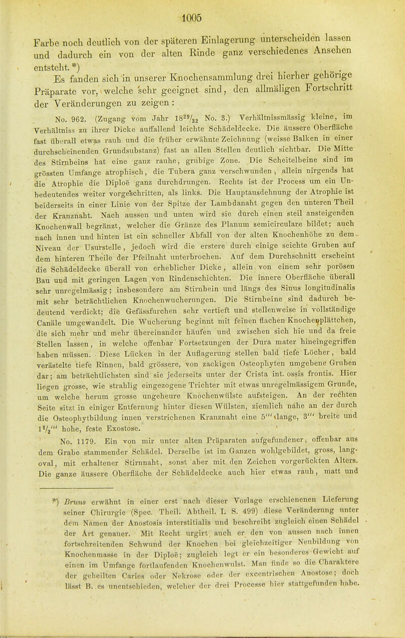 Farbe noch deutlich von der späteren Einlagerung unterscheiden lassen und dadurch ein von der alten Rinde ganz verschiedenes Ansehen entsteht.*) . Es fanden sich in unserer Knochensammlung drei hierher gehörige Präparate vor, welche sehr geeignet sind, den allmäligen Fortschritt der Veränderungen zu zeigen : No. 962. (Zugang vom Jahr IS^s/gj No. 3.) Verbältnissmässig kleine, im Verhiiltniss zu ihrer Dicke autftillend leichte Schädeldecke. Die äussere Oberfläche fast übin-all etwas rauh und die früher erwähnte Zeichnung (weisse Balken in einer durchscheinenden Grundsubstanz) fast an allen .Stellen deutlich sichtbar. Die Mitte des Stirnbeins hat eine ganz rauhe, grubige Zone. Die Scheitelbeine sind im grössten Umfange atrophisch, die Tubera ganz verschwunden , allein nirgends hat die Ati-ophie die Diploe ganz durchdrungen. Rechts ist der Process um ein Un- bedeutendes weiter vorgeschritten, als links. Die Hauptausdehnung der Atrophie ist beiderseits in einer Linie von der Spitze der Lambdanaht gegen den unteren Theil der Kranznaht. Nach aussen und unten wird sie durch einen steil ansteigenden Knochenwall begränzt, welcher die Gränze des Planum semicirculare bildet; auch nach innen und hinten ist ein schneller Abfall von der alten Knochenhöhe zu dem. Niveau der Usurstelle , jedoch wird die erstere durch einige seichte Gruben auf dem hinteren Theile der Pfeilnaht unterbrochen. Auf dem Durchschnitt erscheint die Schädeldecke überall von erheblicher Dicke, allein von einem sehr porösen Bau und mit geringen Lagen von Rindenschichten. Die innere Oberfläche überall sehr unrogelmässig; insbesondere am Stirnbein und längs des Sinus longitudinalis mit sehr beträchtlichen Knochenwucherungen. Die Stirnbeine sind dadurch be- deutend verdickt; die Gefässfurchen sehr vertieft und stellenweise in vollständige Canäle umgewandelt. Die Wucherung beginnt mit feinen flachen Knoche?fplättchen, die sich mehr und mehr übereinander häufen und zwischen sich hie und da freie Stellen lassen, in welche offenbar Fortsetzungen der Dura mater hineingegriffen haben müssen. Diese Lücken in der Auflagerung stellen bald tiefe Löcher, bald verästelte tiefe Rinnen, bald grössere, von zackigen Osteophyten umgebene Gruben dar; am beträchtlichsten sind'sie jederseits unter der Crista int. ossis frontis. Hier liegen grosse, wie strahlig eingezogene Trichter mit etwas unregelmässigem Grunde, um welche herum grosse ungeheure Kuochenwülste aufsteigen. An der rechten Seite sitzt in einiger Entfernung hinter diesen Wülsten, ziemlich nähe an der durch die Osteophytbildung innen verstrichenen Kranznaht eine 5'»lange, 3' breite und IV2' hohe, feste Exostose. No. 1179. Ein von mir unter alten Präparaten aufgefundener, offenbar aus dem Grabe stammender Schädel. Derselbe ist im Ganzen wolilgebildet, gross, lang- oval, mit erhaltener Stirnnaht, sonst aber mit den Zeichen vorgerückten Alters. Die ganze äussere Oberfläche der Schädeldecke auch hier etwas rauh, matt und *) Bru7i8 erwähnt in einer erst nach dieser Vorlage erschienenen Lieferung seiner Chirurgie (Spec. Theil. Abtheil. I. S. 499) diese Veränderung unter dem Namen der Anostosis interstitialis und beschreibt zugleich einen Schädel der Art genauer. Mit Recht urgirt auch er den von aussen nach innen fortschreitenden Schwund der Knochen bei gleichzeitiger Neubildung von Knochenmasse in der Diploe; zugleich legt er ein besonderes Gewicht auf einen im Umfange fortlaufenden Knochenwulst. Man finde so die Charaktere der geheilten Carics oder Nekrose oder der c-xocntrisclien Auostose; doch lä.sst B. CS unentschieden, welcher der drei Prooesse hier stattgefunden habe.
