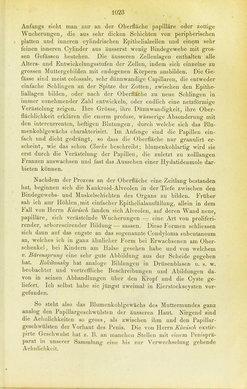 Anfangs sieht man nur an der Oberfläche papilläre oder zottige Wucherungen, die aus sehr dicken Schichten von peripherischen platten und inneren cylindrischen Epitlielialzellen und ein^m sehr feinen inneren Cyhnder aus äusserst wenig Bindegewebe mit gros- sen Gefässen bestehen. Die äusseren Zellenlagen enthalten alle Alters- und Entwickelungsstufen der Zellen, indem sich einzelne zu grossen Muttergebilden mit endogenen Körpern ausbilden. Die Ge- fässe sind meist colossale, sehr dünnwandige Capillaren, die entweder einfache Schlingen an der Spitze der Zotten, zwischen den Epithe- liallagen bilden, oder nach der Oberfläche zu neue Schlingen in immer zunehmender Zahl entwickeln, oder endlich eine netzförmige Verästelung zeigen. Ihre Grösse, ihre Dünnwandigkeit, ihre Ober- flächlichkeit erklären die enorm profuse, wässerige Absonderung mit den intercurrenten, heftigen Blutungen, durch welche sich das Blu- menkohlgewächs charakterisirt. Im Anfange sind die Papillen ein- fach und dicht gedrängt, so dass die Oberfläche nur granulirt er- scheint, wie das schon Qlarke beschreibt; blumenkohlartig wird sie erst durch die Verästelung der Papillen, die zuletzt zu zolllangen Franzen auswachsen und fast das Aussehen einer Hydatidenmole dar- bieten können. Nachdem der Prozess an der Oberfläche eine Zeitlang bestanden hat, beginnen sich die Kankroid-Alveolen in der Tiefe zwischen den Bindegewebs- und Muskelschichten des Organs zu bilden. Früher sah ich nur Höhlen,mit einfacher Epithelialausfüllung, allein in dem Fall von Herrn K/iwisch fanden sich Alveolen, auf deren Wand neue, papilläre, sich verästelnde Wucherungen — eine Art von proliferi- render, arborescirender Bildung — sassen. Diese Formen schliessen sich dann auf das engste an das sogenannte Condyloma subcutan cum an, welches ich in ganz ähnlicher Form bei Erwachsenen am Ober- schenkel, bei Kindern am Halse gesehen habe und von welchem V. Bärensprung eine sehr gute Abbildung aus der Scheide gegeben hat. Rokitanslcy hat analoge Bildungen in Drüsenblasen u. s. w. beobachtet und vortrefillche Beschreibungen und Abildungen da- von in seinen Abhandlungen über den Kropf und die Cyste ge- liefert. Ich selbst habe sie jüngst zweimal in Eierstockscysten vor- gefunden. So steht also das Blumenkohlgewächs des Muttermundes ganz analog den Papillargeschwülsten der äusseren Haut. Nirgend sind die Aehalichkeiten so gross, als zwischen ihm und den Papillar- geschwülsten der Vorhaut des Penis. Die von Herrn Kiwisch exstir- pirte Geschwulst hat z. B. an manchen Stellen mit einem Peiiisprä- parat m unserer Sammlung eine bis zur Verwechselung gehende Aehnliclikeit