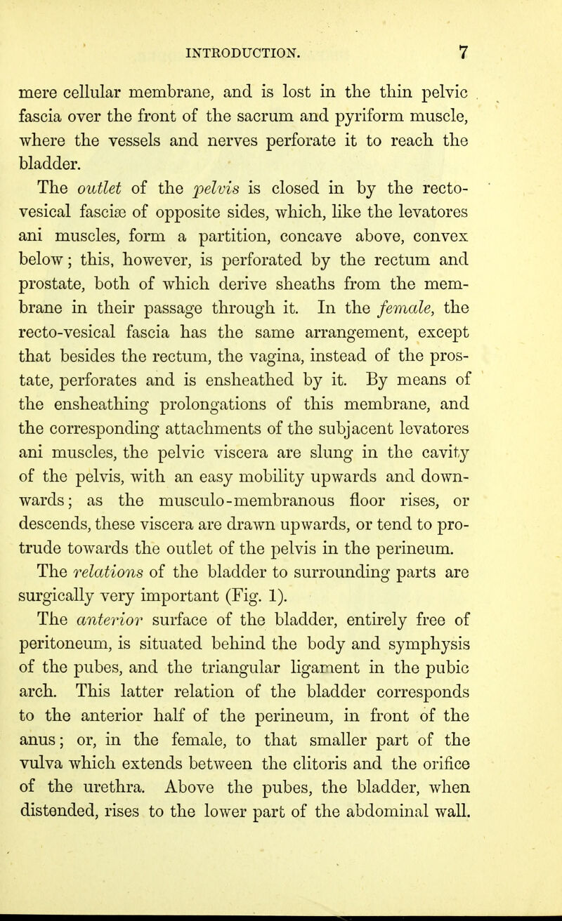mere cellular membrane, and is lost in tlie thin pelvic fascia over the front of the sacrum and pyriform muscle, where the vessels and nerves perforate it to reach the bladder. The outlet of the pelvis is closed in by the recto- vesical fasciae of opposite sides, which, like the levatores ani muscles, form a partition, concave above, convex below; this, however, is perforated by the rectum and prostate, both of which derive sheaths from the mem- brane in their passage through it. In the female, the recto-vesical fascia has the same arrangement, except that besides the rectum, the vagina, instead of the pros- tate, perforates and is ensheathed by it. By means of the ensheathing prolongations of this membrane, and the corresponding attachments of the subjacent levatores ani muscles, the pelvic viscera are slung in the cavity of the pelvis, with an easy mobility upwards and down- wards; as the musculo-membranous floor rises, or descends, these viscera are drawn upwards, or tend to pro- trude towards the outlet of the pelvis in the perineum. The relations of the bladder to surrounding parts are surgically very important (Fig. 1). The anterior surface of the bladder, entirely free of peritoneum, is situated behind the body and symphysis of the pubes, and the triangular ligament in the pubic arch. This latter relation of the bladder corresponds to the anterior half of the perineum, in front of the anus; or, in the female, to that smaller part of the vulva which extends between the clitoris and the orifice of the urethra. Above the pubes, the bladder, when distended, rises to the lower part of the abdominal wall.