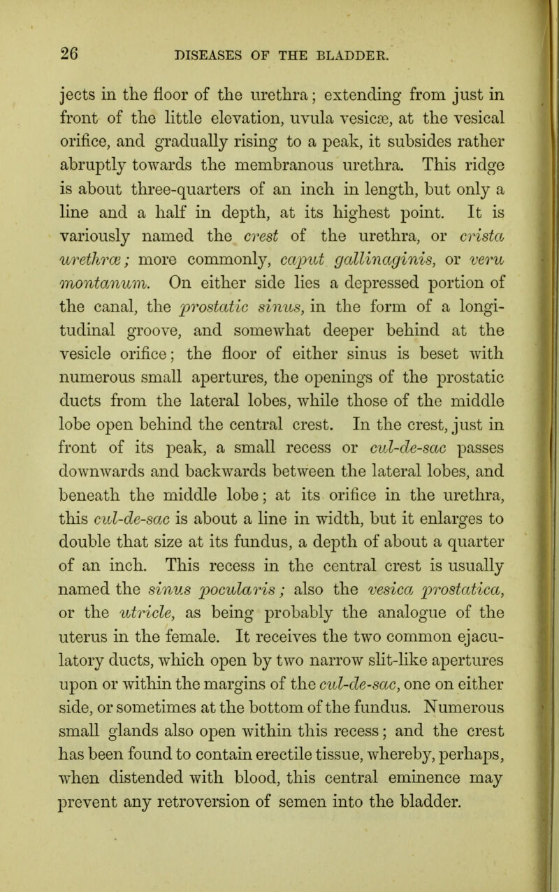 jects in the floor of the urethra; extending from just in front of the httle elevation, uvula vesicae, at the vesical orifice, and gradually rising to a peak, it subsides rather abruptly towards the membranous urethra. This ridge is about three-quarters of an inch in length, but only a line and a half in depth, at its highest point. It is variously named the crest of the urethra, or crista urethrce; more commonly, caput gallinaginis, or veru montanum. On either side lies a depressed portion of the canal, the prostatic sinus, in the form of a longi- tudinal groove, and somewhat deeper behind at the vesicle orifice; the floor of either sinus is beset with numerous small apertures, the openings of the prostatic ducts from the lateral lobes, Avhile those of the middle lobe open behind the central crest. In the crest, just in front of its peak, a small recess or cul-de-sac passes downwards and backwards between the lateral lobes, and beneath the middle lobe; at its orifice in the urethra, this cul-de-sac is about a line in width, but it enlarges to double that size at its fundus, a depth of about a quarter of an inch. This recess in the central crest is usually named the sinus p>oculaTis; also the vesica prostatica, or the utricle, as being probably the analogue of the uterus in the female. It receives the two common ejacu- latory ducts, which open by two narrow slit-like apertures upon or within the margins of the cul-de-sac, one on either side, or sometimes at the bottom of the fundus. Numerous small glands also open within this recess; and the crest has been found to contain erectile tissue, whereby, perhaps, when distended with blood, this central eminence may prevent any retroversion of semen into the bladder.