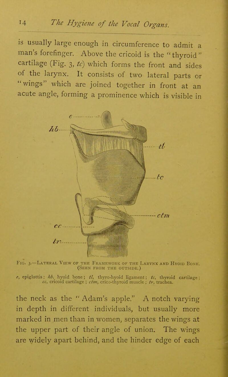 is usually large enough in circumference to admit a man's forefinger. Above the cricoid is the  thyroid  cartilage (Fig. 3, tc) which forms the front and sides of the larynx. It consists of two lateral parts or v/ings which are joined together in front at an acute angle, forming a prominence which is visible in Fig. 3.—Lateral View of the Framework of the Larynx and Hyoid Bonk. (Seen from the outside.) e, epiglottis: hb, hyoid bone; il, thyro-hyoid ligament; tc, thyroid cartilage: cc, cricoid cartilage ; cUn, crico-thyroid muscle ; tr, trachea. the neck as the  Adam's apple. A notch varying in depth in different individuals, but usually more marked in men than in women, separates the wings at the upper part of their angle of union. The wings are widely apart behind, and the hinder edge of each