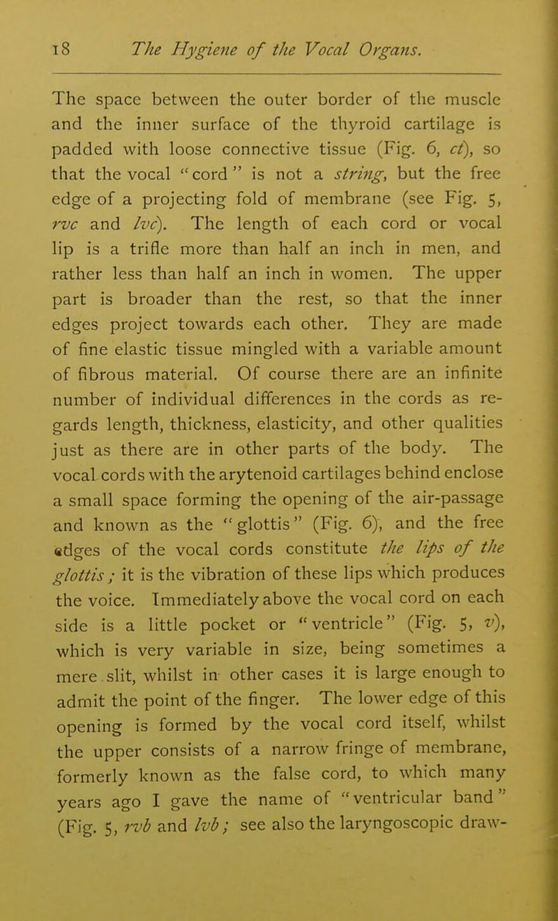 The space between the outer border of the muscle and the inner surface of the thyroid cartilage is padded with loose connective tissue (Fig. 6, ct), so that the vocal cord is not a string, but the free edge of a projecting fold of membrane (see Fig. 5, rvc and Ivc). The length of each cord or vocal lip is a trifle more than half an inch in men, and rather less than half an inch in women. The upper part is broader than the rest, so that the inner edges project towards each other. They are made of fine elastic tissue mingled with a variable amount of fibrous material. Of course there are an infinite number of individual differences in the cords as re- gards length, thickness, elasticity, and other qualities just as there are in other parts of the body. The vocal cords with the arytenoid cartilages behind enclose a small space forming the opening of the air-passage and known as the glottis (Fig. 6), and the free adges of the vocal cords constitute the lips of the glottis ; it is the vibration of these lips which produces the voice. Immediately above the vocal cord on each side is a little pocket or ventricle (Fig. 5, v), which is very variable in size, being sometimes a mere slit, whilst in- other cases it is large enough to admit the point of the finger. The lower edge of this opening is formed by the vocal cord itself, whilst the upper consists of a narrow fringe of membrane, formerly known as the false cord, to which many years ago I gave the name of ventricular band (Fig. 5, rvb and Ivb; see also the laryngoscopic draw-