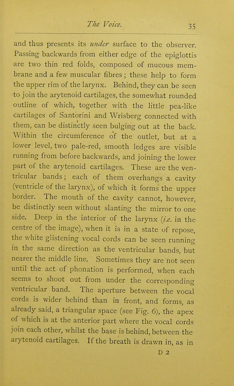 and thus presents its tinder surface to the observer. Passing backwards from either edge of the epiglottis are two thin red folds, composed of mucous mem- brane and a few muscular fibres; these help to form the upper rim of the larynx. Behind, they can be seen •to join the arytenoid cartilages, the somewhat rounded outline of which, together with the little pea-like cartilages of Santorini and Wrisberg connected with them, can be distinctly seen bulging out at the back. Within the circumference of the outlet, but at a lower level, two pale-red, smooth ledges are visible running from before backwards, and joining the lower part of the arytenoid cartilages. These are the ven- tricular bands; each of them overhangs a cavity (ventricle of the larynx), of which it forms the upper border. The mouth of the cavity cannot, however, be distinctly seen without slanting the mirror to one side. Deep in the interior of the larynx {i.e. in the centre of the image), when it is in a state of repose, the white glistening vocal cords can be seen running in the same direction as the ventricular bands, but nearer the middle line. Sometimes they are not seen until the act of phonation is performed, when each seems to shoot out from under the corresponding ventricular band. The aperture between the vocal cords is wider behind than in front, and forms, as already said, a triangular space (see Fig. 6), the apex of which is at the anterior part where the vocal cords join each other, whilst the base is behind, between the arytenoid cartilages. If the breath is drawn in, as in D 2