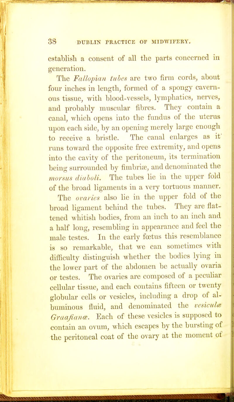 establish a consent of all the parts concerned in generation. The Fallopian tubes are two firm cords, about four inches in length, formed of a spongy cavern- ous tissue, with blood-vessels, lymphatics, nen^es, and probably muscular fibres. They contain a canal, which opens into the fundus of the uterus upon each side, by an opening merely large enough to receive a bristle. The canal enlarges as it' runs toward the opposite free extremity, and opens into the cavity of the peritoneum, its termination being surrounded by fimlniEe, and denominated the morsas diuholi. The tubes lie in the upper fold of the broad ligaments in a very tortuous manner. The ovaries also lie in the upper fold of the broad ligament behind the tubes. They are flat- tened whitish bodies, from an inch to an inch and a half long, resembling in appearance and feel the male testes. In the early foetus this resemblance is so remarkable, that we can sometimes Avith difficulty distinguish whether the bodies lying in the lower part of the abdomen be actually ovaria or testes. The ovaries are composed of a pecuhar cellular tissue, and each contains fifteen or twenty globular cells or vesicles, including a drop of al- buminous fluid, and denominated the vesiculo} Gruajiaim. Each of these vesicles is supposed to contain an o^aun, which escapes by the bm-sting of the peritoneal coat of the ovary at the moment of