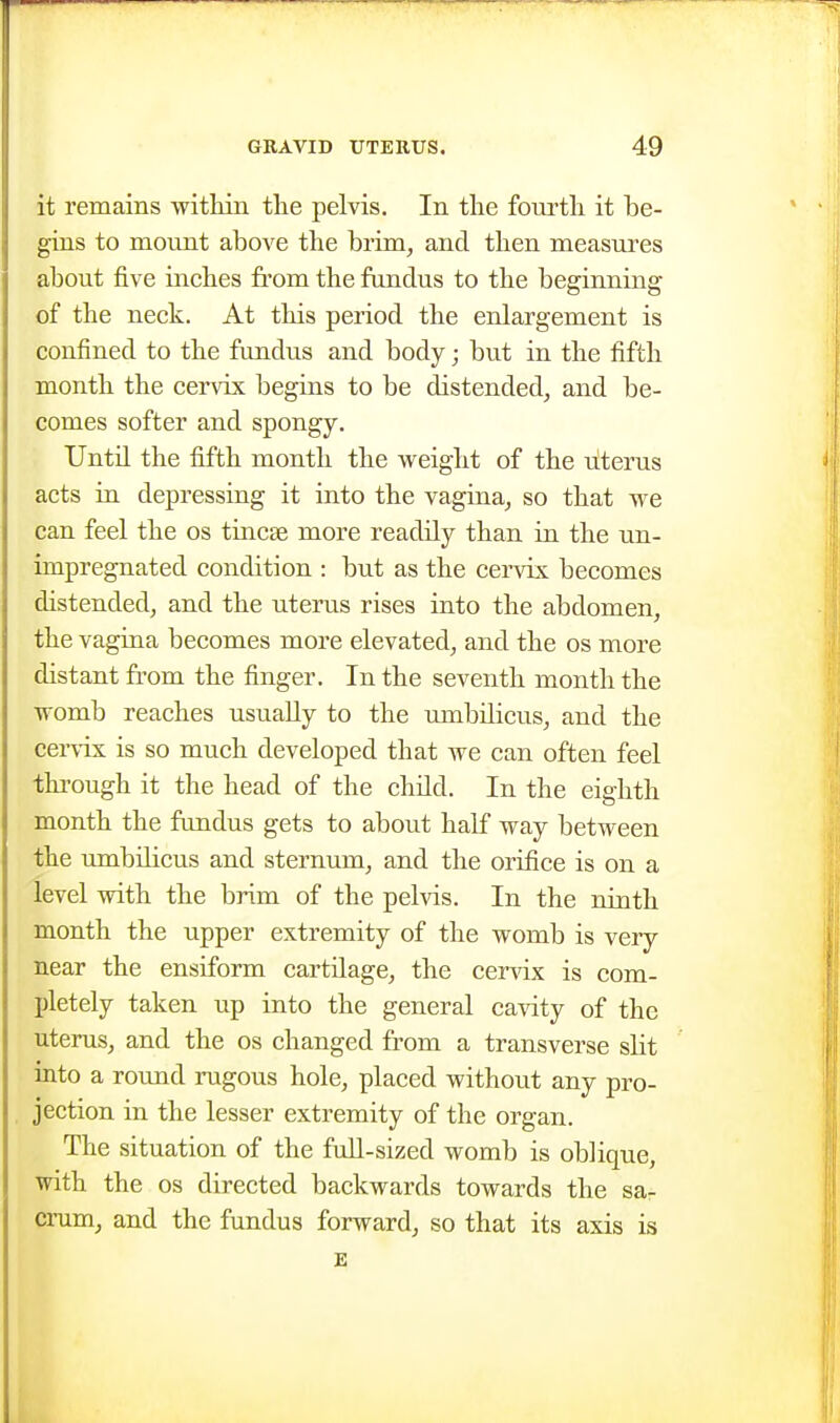it remains witkin tlie pelvis. In the fourth it be- gins to mount above the brim, and then measures about five inches from the fundus to the beginning of the neck. At this period the enlargement is confined to the fundus and body; but in the fifth month the cervix begins to be distended, and be- comes softer and spongy. Until the fifth month the weight of the u!terus acts iu depressing it into the vagina, so that we can feel the os tiacse more readily than in the un- impregnated condition : but as the cei-vix becomes distended, and the uterus rises into the abdomen, the vagina becomes more elevated, and the os more distant fr-om the finger. In the seventh month the womb reaches usually to the umbilicus, and the cer\'ix is so much developed that we can often feel through it the head of the chdd. In the eighth month the frmdus gets to about half way between the umbiUcus and sternum, and the orifice is on a level with the brim of the pelvis. In the ninth month the upper extremity of the womb is very near the ensiform cartilage, the cervix is com- pletely taken up into the general ca\dty of the uterus, and the os changed from a transverse slit into a round rugous hole, placed without any pro- jection in the lesser extremity of the organ. The situation of the full-sized womb is oblique, with the OS directed backwards towards the sar cnim, and the fundus forward, so that its axis is