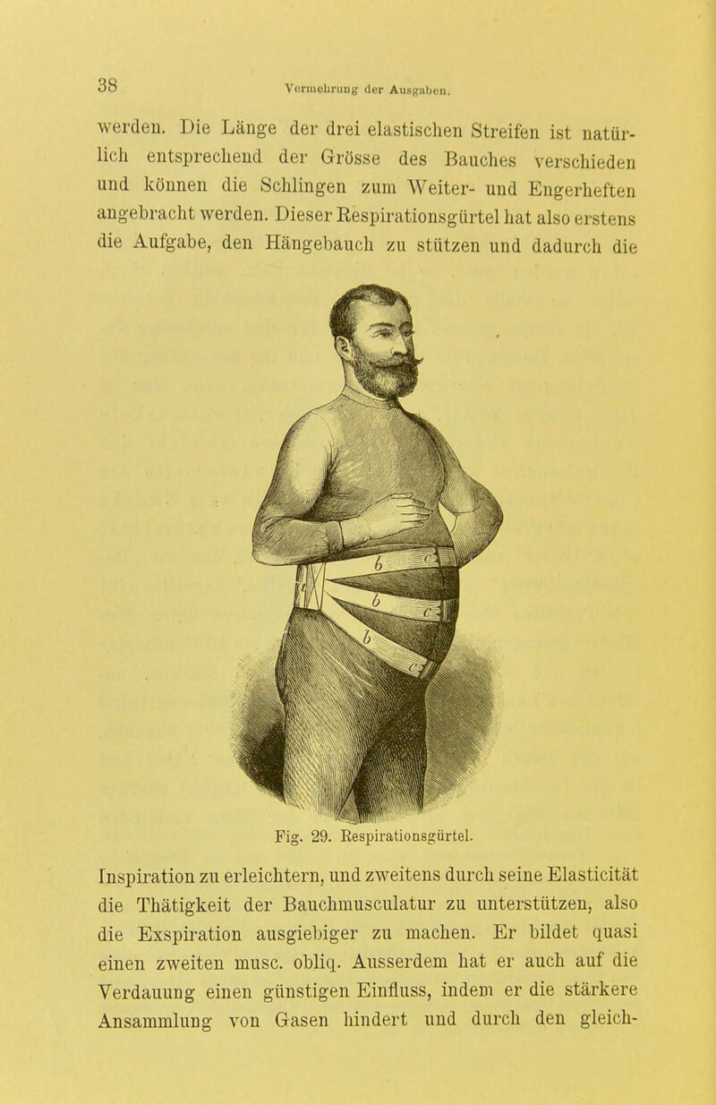 werden. Die Länge der drei elastischen Streifen ist natür- lich entsprechend der Grösse des Bauches verschieden und können die Schlingen zum Weiter- und Engerheften angebracht werden. Dieser Respirationsgürtel hat also erstens die Aufgabe, den Hängebauch zu stützen und dadurch die Fig. 29. Respirationsgürtel. Inspiration zu erleichtern, und zweitens durch seine Elasticität die Thätigkeit der Bauchmusculatur zu unterstützen, also die Exspiration ausgiebiger zu machen. Er bildet quasi einen zweiten musc. obliq.. Ausserdem hat er auch auf die Verdauung einen günstigen Einfluss, indem er die stärkere Ansammlung von Gasen hindert und durch den gleich-