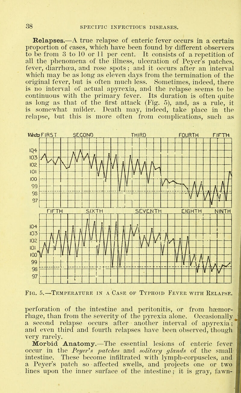 Relapses.—A true relapse of enteric fever occurs in a certain proportion of cases, which have been found by different observers to be from 3 to 10 or 11 per cent. It consists of a repetition of all the phenomena of the illness, ulceration of Peyer's patches, fever, diarrhoea, and rose spots; and it occurs after an interval which may be as long as eleven days from the termination of the original fever, but is often much less. Sometimes, indeed, there is no interval of actual apyrexia, and the relapse seems to be continuous with the primary fever. Its duration is often quite as long as that of the first attack (Fig. 5), and, as a rule, it is somewhat milder. Death may, indeed, take place in the relapse, but this is more often from complications, such as perforation of the intestine and peritonitis, or from haemor- rhage, than from the severity of the pyrexia alone. Occasionally a second relapse occurs after another interval of apyrexia; and even third and fourth relapses have been observed, though very rarely. Morbid Anatomy.—The essential lesions of enteric fever occur in the Peyer\s patches and solitary glands of the small intestine. These become infiltrated with lymph-corpuscles, and a Peyer's patch so affected swells, and projects one or two lines upon the inner surface of the intestine; it is gray, fawn-