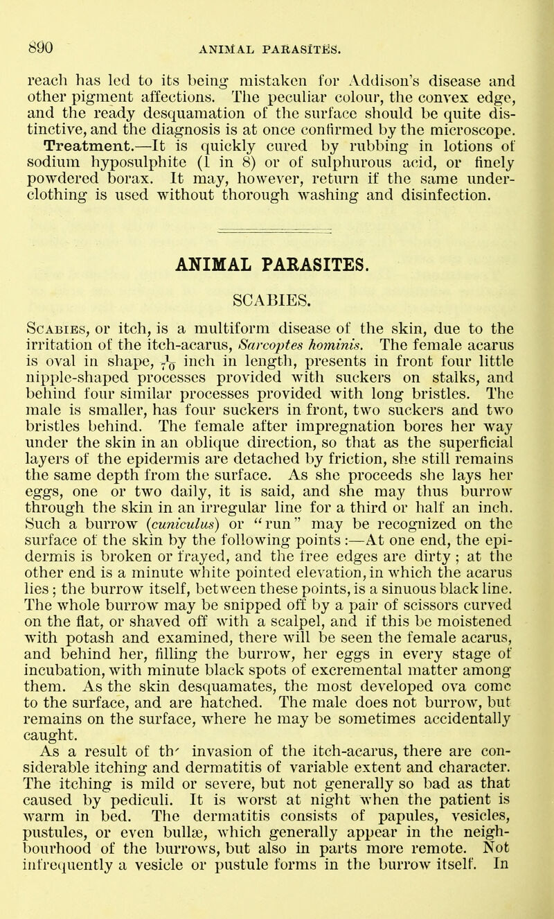 reach has led to its being mistaken for Addison's disease and other pigment affections. Tlie peculiar colour, the convex edge, and the ready desquamation of the surface should be quite dis- tinctive, and the diagnosis is at once confirmed by the microscope. Treatment.—It is quickly cured by rubbing in lotions of sodium hyposulphite (1 in 8) or of sulphurous acid, or finely powdered borax. It may, however, return if the same under- clothing is used without thorough washing and disinfection. ANIMAL PARASITES. SCABIES. Scabies, or itch, is a multiform disease of the skin, due to the irritation of the itch-acarus, Sarcoptes hominis. The female acarus is oval in shape, inch in length, presents in front four little nipple-shaped processes provided with suckers on stalks, and behind four similar processes provided with long bristles. The male is smaller, has four suckers in front, two suckers and two bristles behind. The female after impregnation bores her way under the skin in an oblique direction, so that as the superficial layers of the epidermis are detached by friction, she still remains the same depth from the surface. As she proceeds she lays her eggs, one or two daily, it is said, and she may thus burrow through the skin in an irregular line for a third or half an inch. Such a burrow {cuniculus) or run may be recognized on the surface of the skin by the following points :—At one end, the epi- dermis is broken or frayed, and the free edges are dirty; at the other end is a minute white pointed elevation, in which the acarus lies; the burrow itself, between these points, is a sinuous black line. The whole burrow may be snipped off by a pair of scissors curved on the flat, or shaved off with a scalpel, and if this be moistened with potash and examined, there will be seen the female acarus, and behind her, filling the burrow, her eggs in every stage of incubation, with minute black spots of excremental matter among them. As the skin desquamates, the most developed ova come to the surface, and are hatched. The male does not burrow, but remains on the surface, where he may be sometimes accidentally caught. As a result of th' invasion of the itch-acarus, there are con- siderable itching and dermatitis of variable extent and character. The itching is mild or severe, but not generally so bad as that caused by pediculi. It is worst at night when the patient is warm in bed. The dermatitis consists of papules, vesicles, pustules, or even bullae, which generally appear in the neigh- bourhood of the burrows, but also in parts more remote. Not infrequently a vesicle or pustule forms in the burrow itself. In